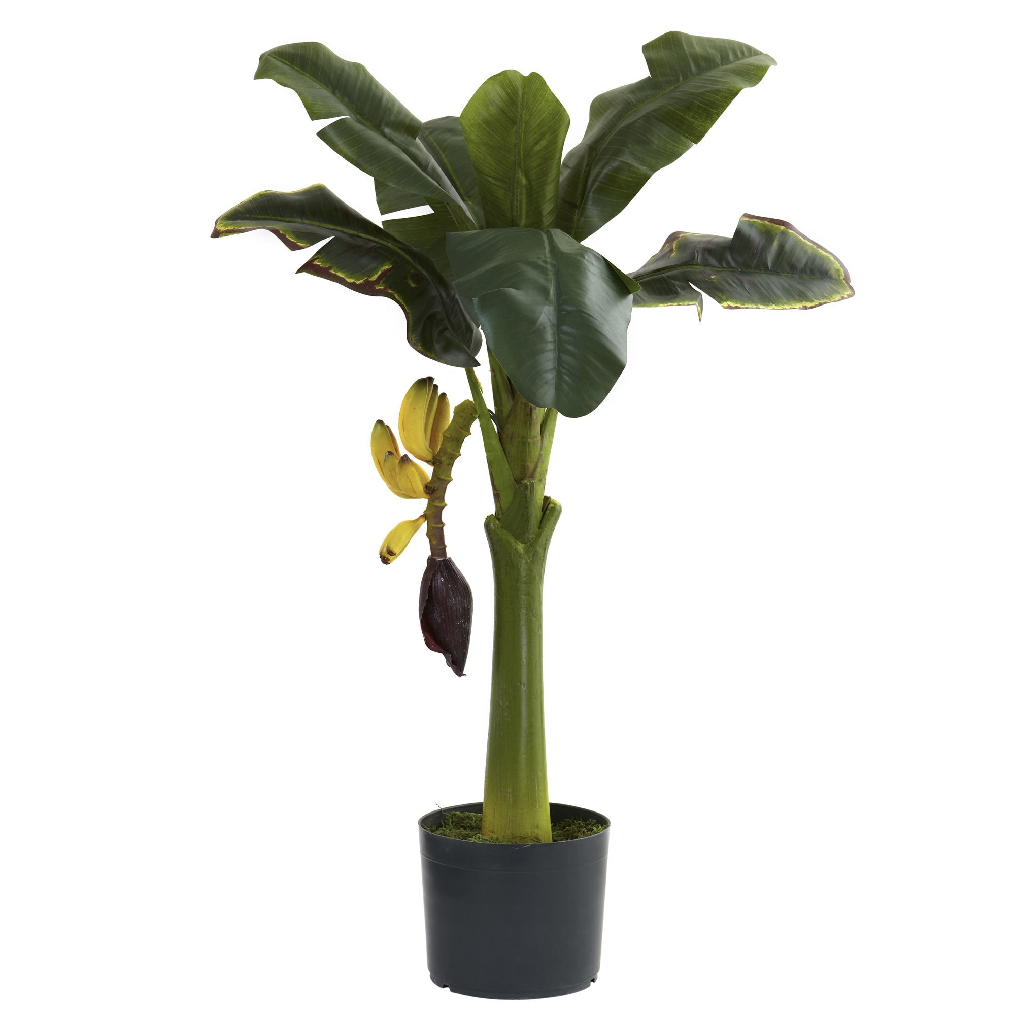 3 - Foot Artificial Banana Tree with Center Trunk | Zigeze