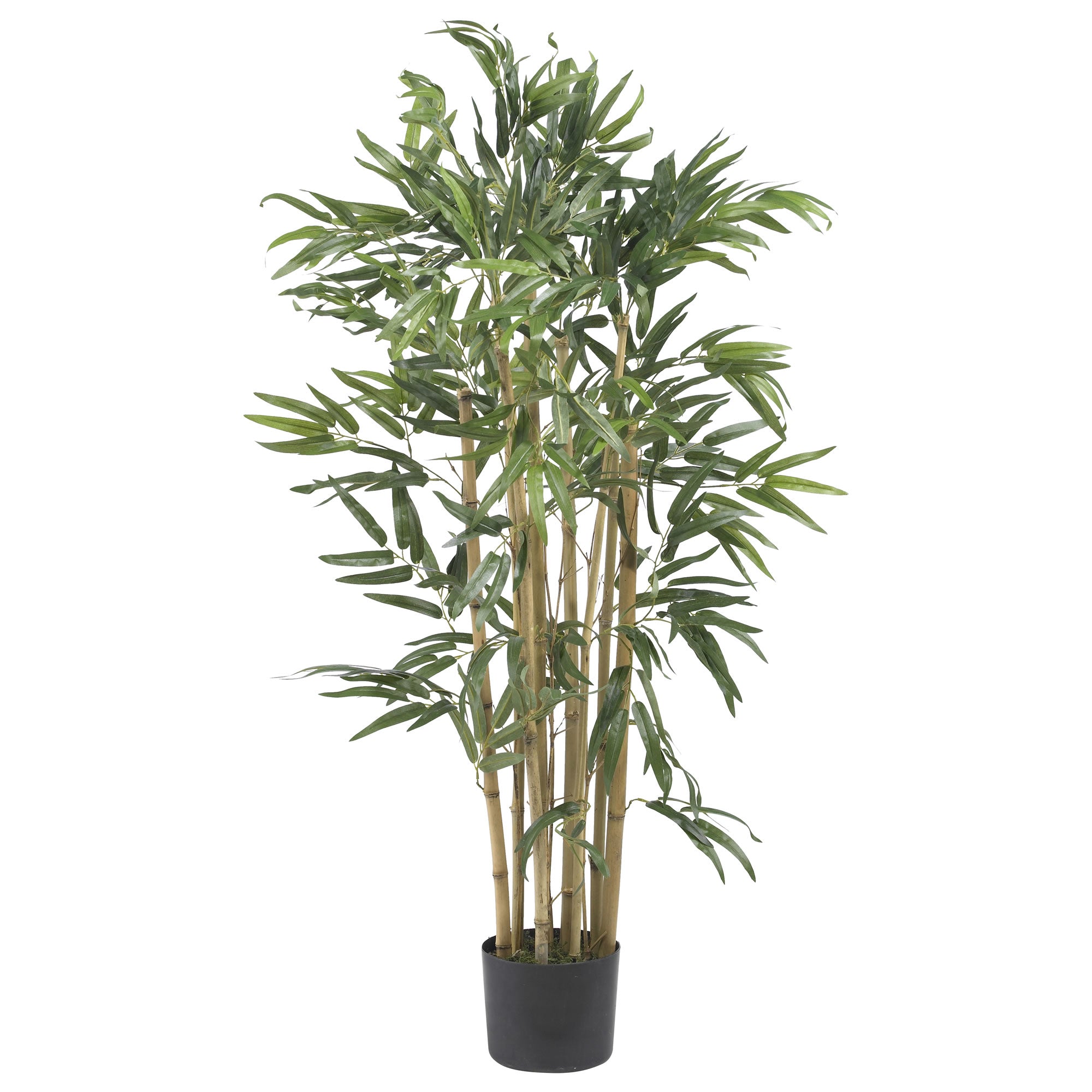 3 - Foot Artificial Multi Bambusa Bamboo Silk Tree | Zigeze