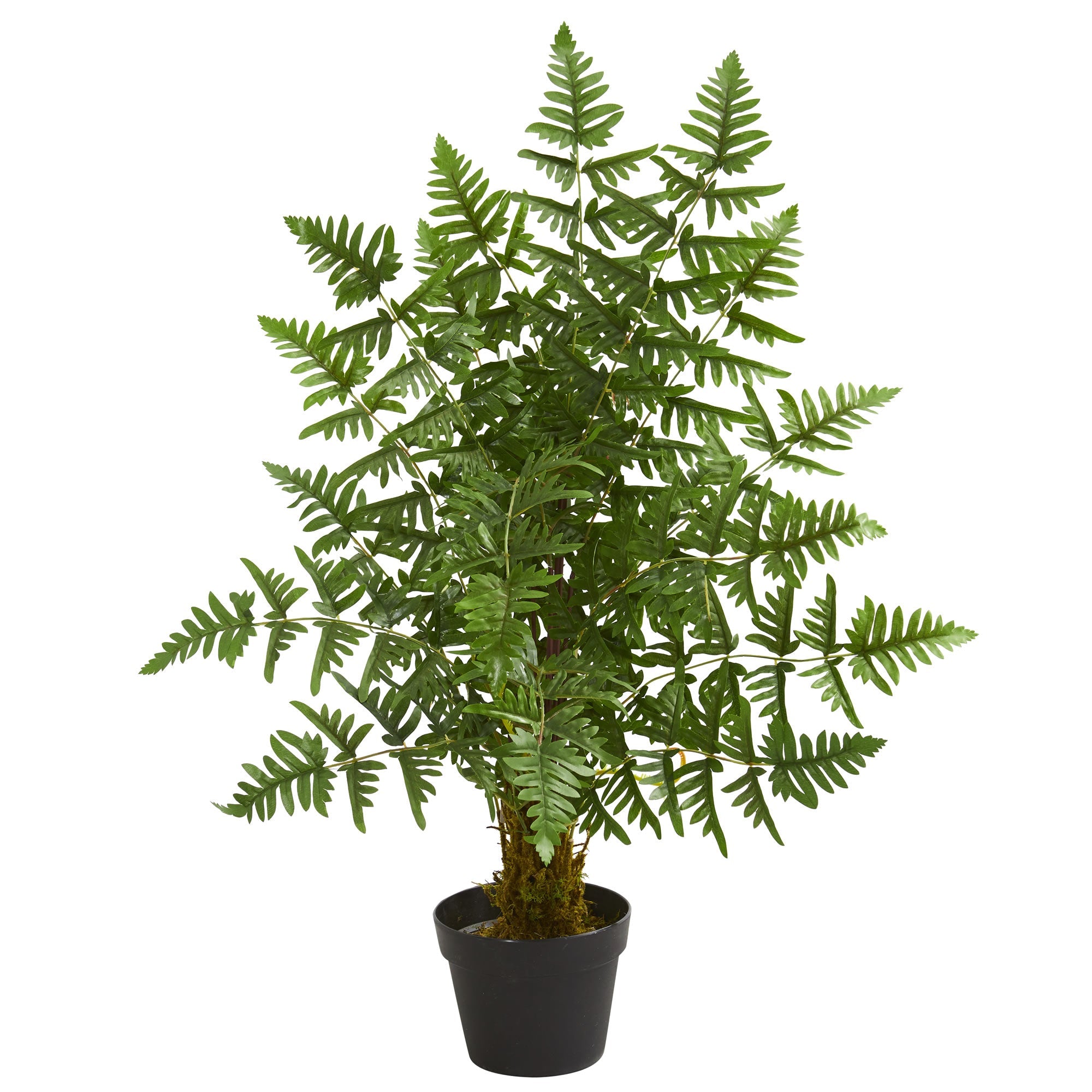 3 - Foot Realistic Ruffle Fern Artificial Palm Tree | Zigeze