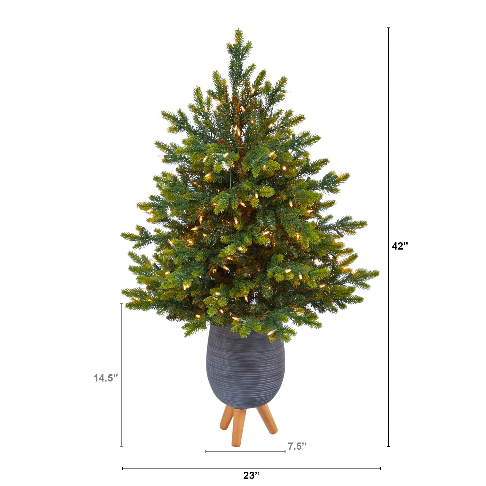 3.5' North Carolina Fir with 150 Clear Lights in Gray Planter | Zigeze