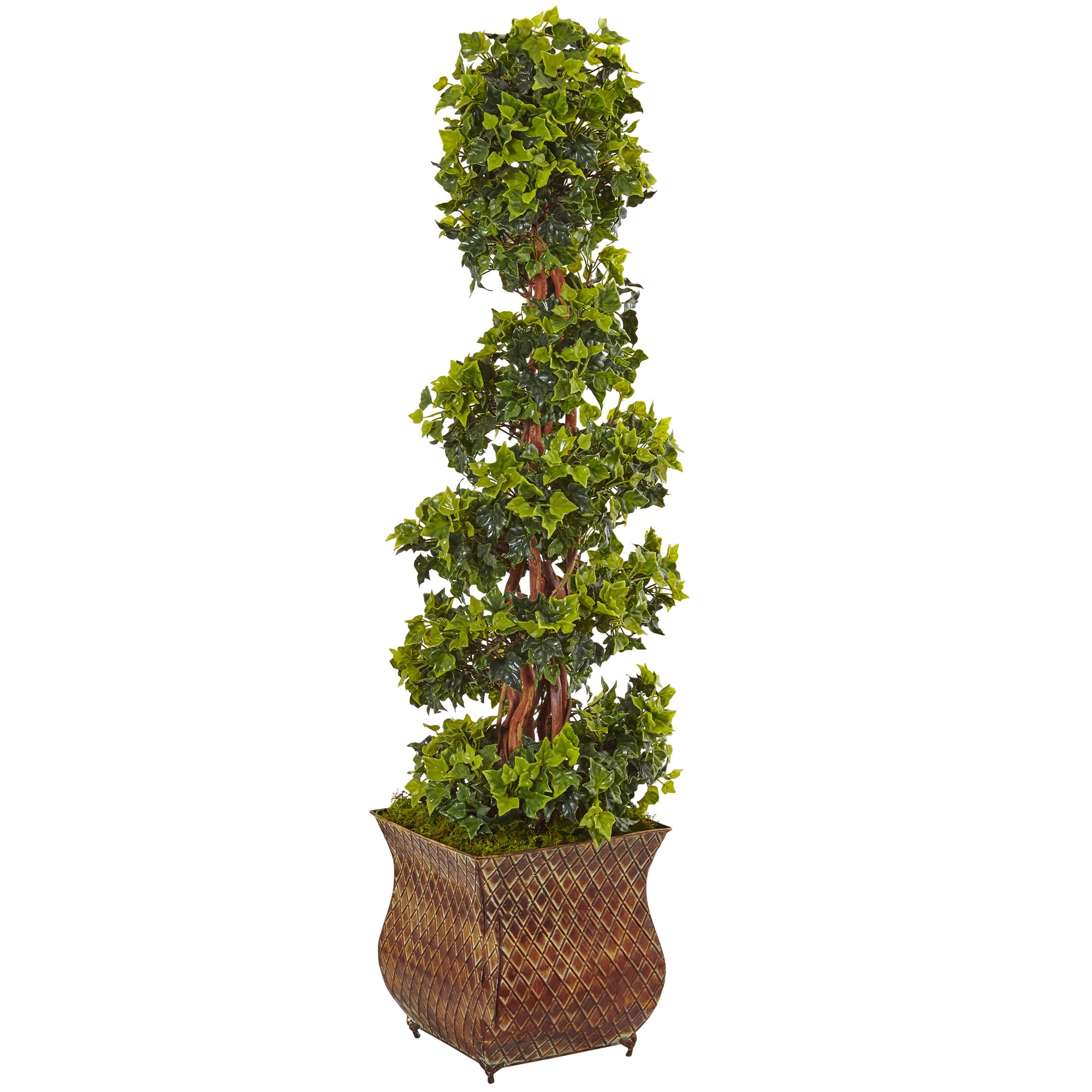 4' English Ivy Spiral Tree in Metal Planter | Zigeze