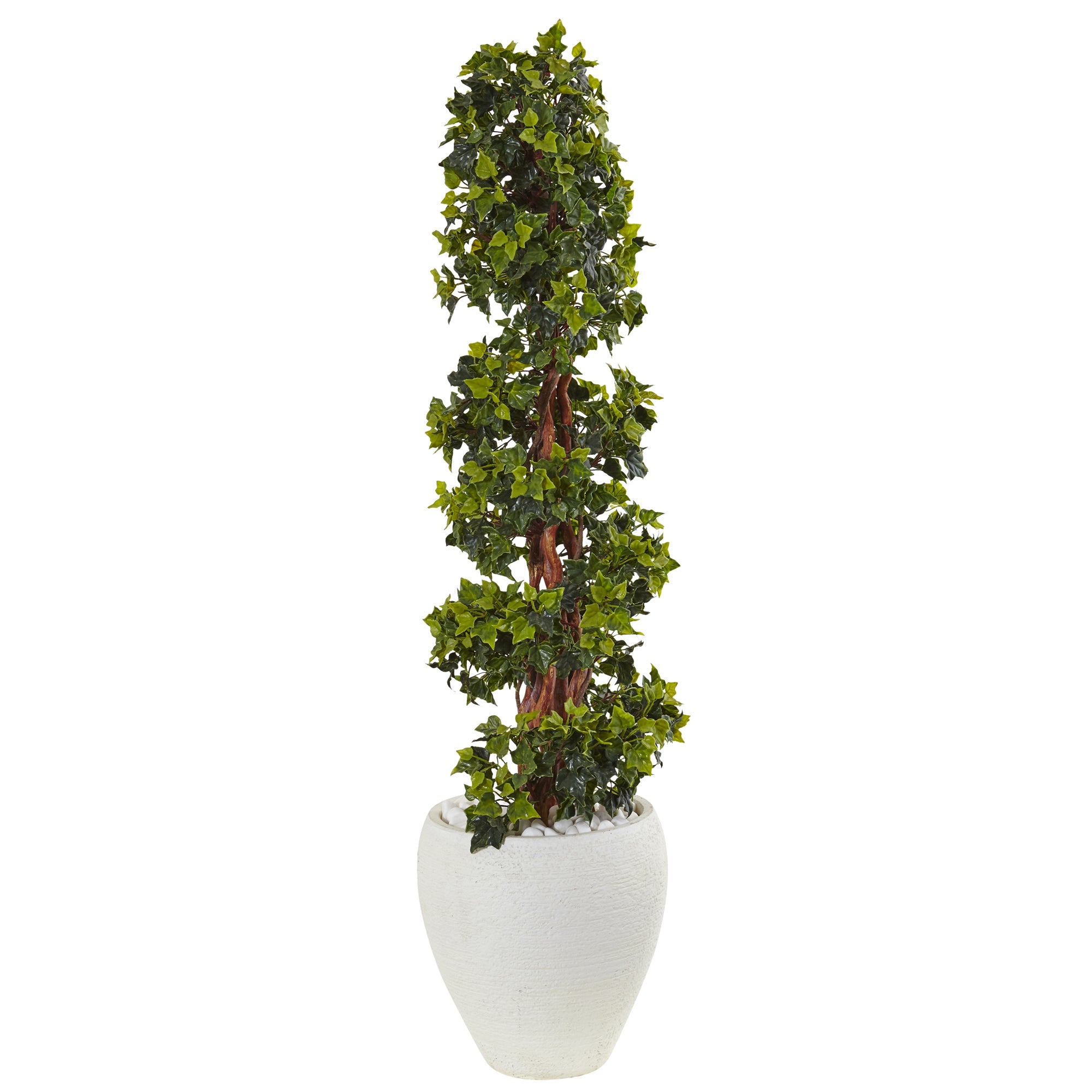 4' English Ivy Topiary in White Oval Planter | Zigeze