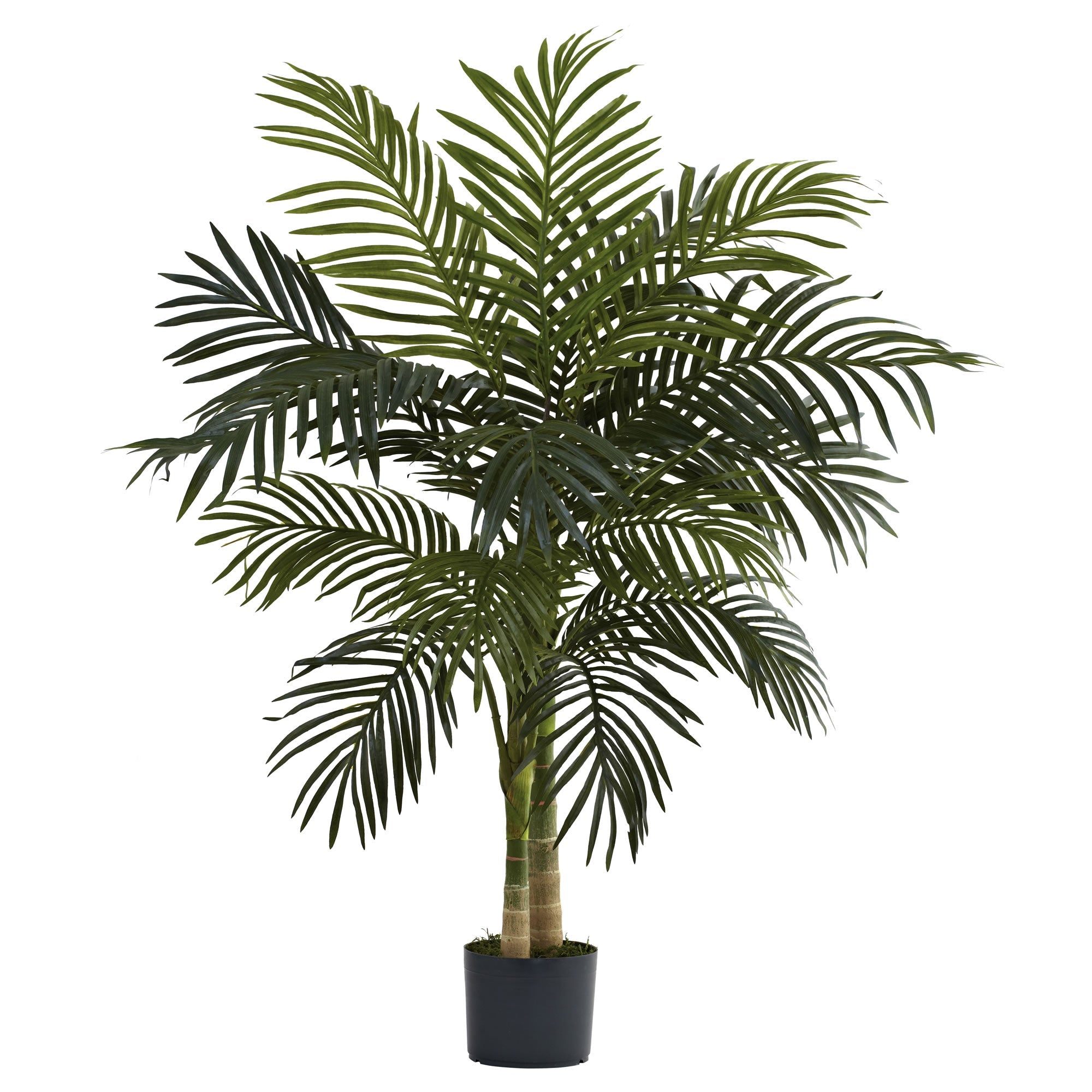 4 - Foot Artificial Golden Cane Palm Silk Tree | Zigeze