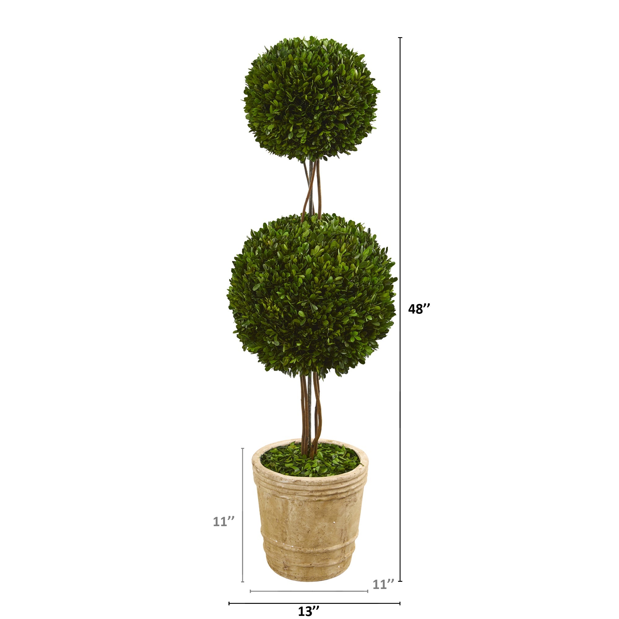 4' Preserved Boxwood Double Ball Topiary in Planter | Zigeze