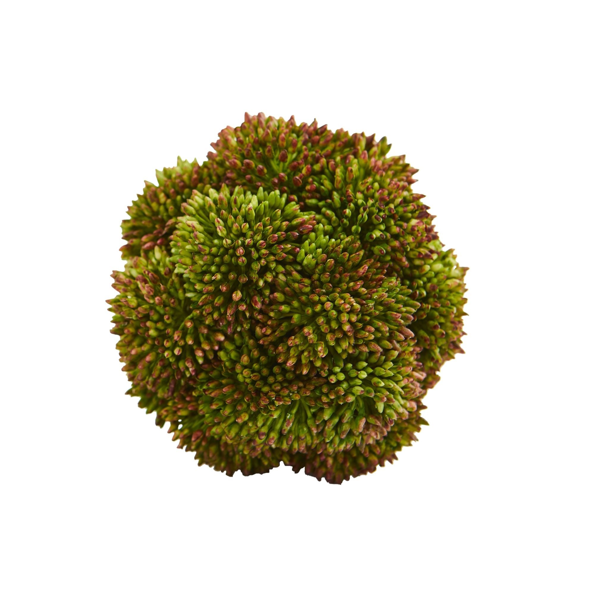 4" Sedum Artificial Succulent Artificial Spheres (Set of 6) | Zigeze