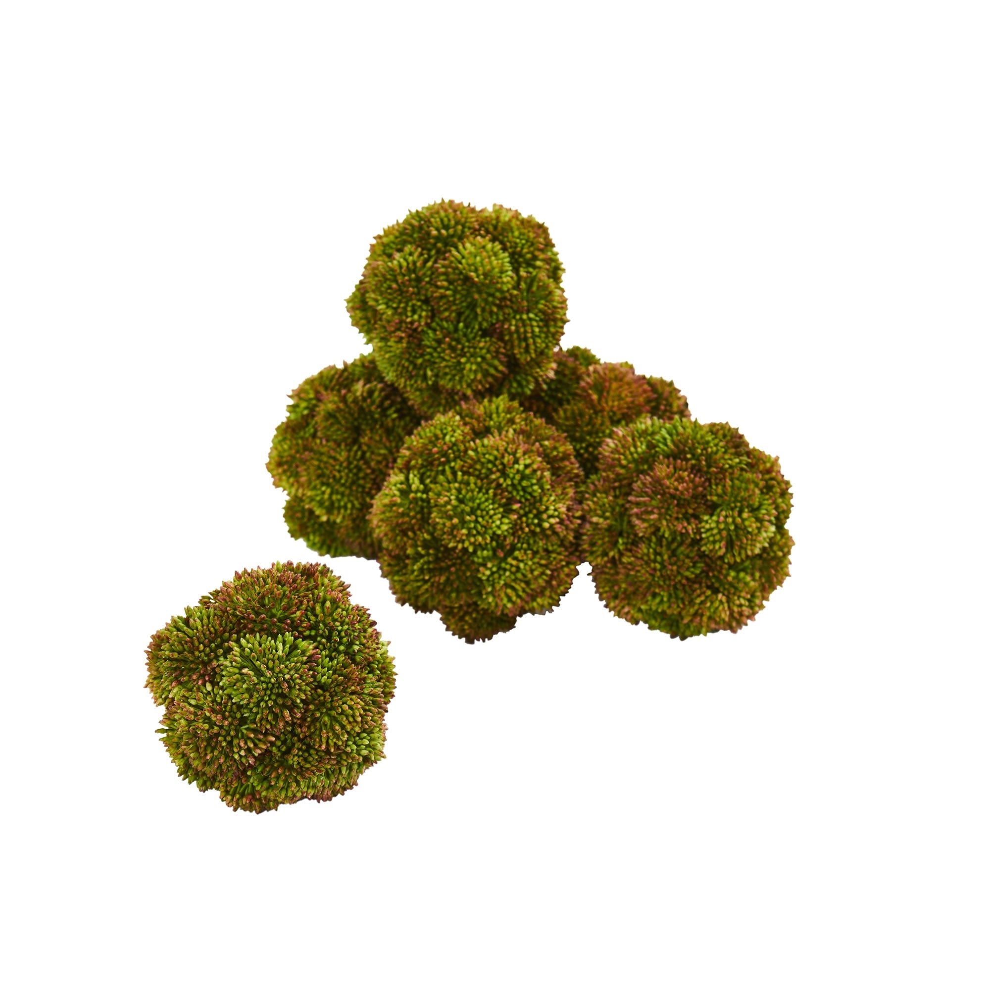 4" Sedum Artificial Succulent Artificial Spheres (Set of 6) | Zigeze