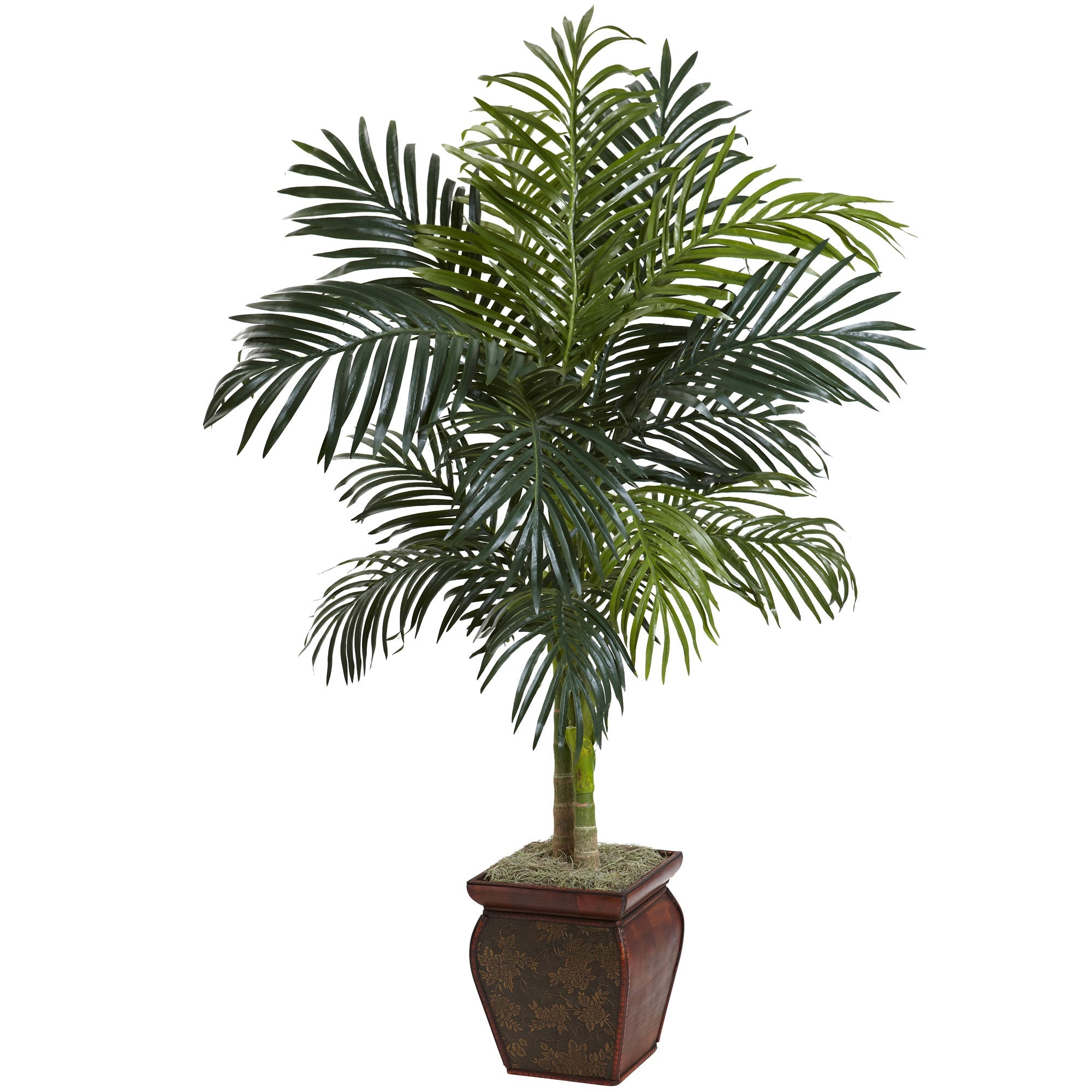 4.5' Golden Cane Palm in Decorative Container | Zigeze