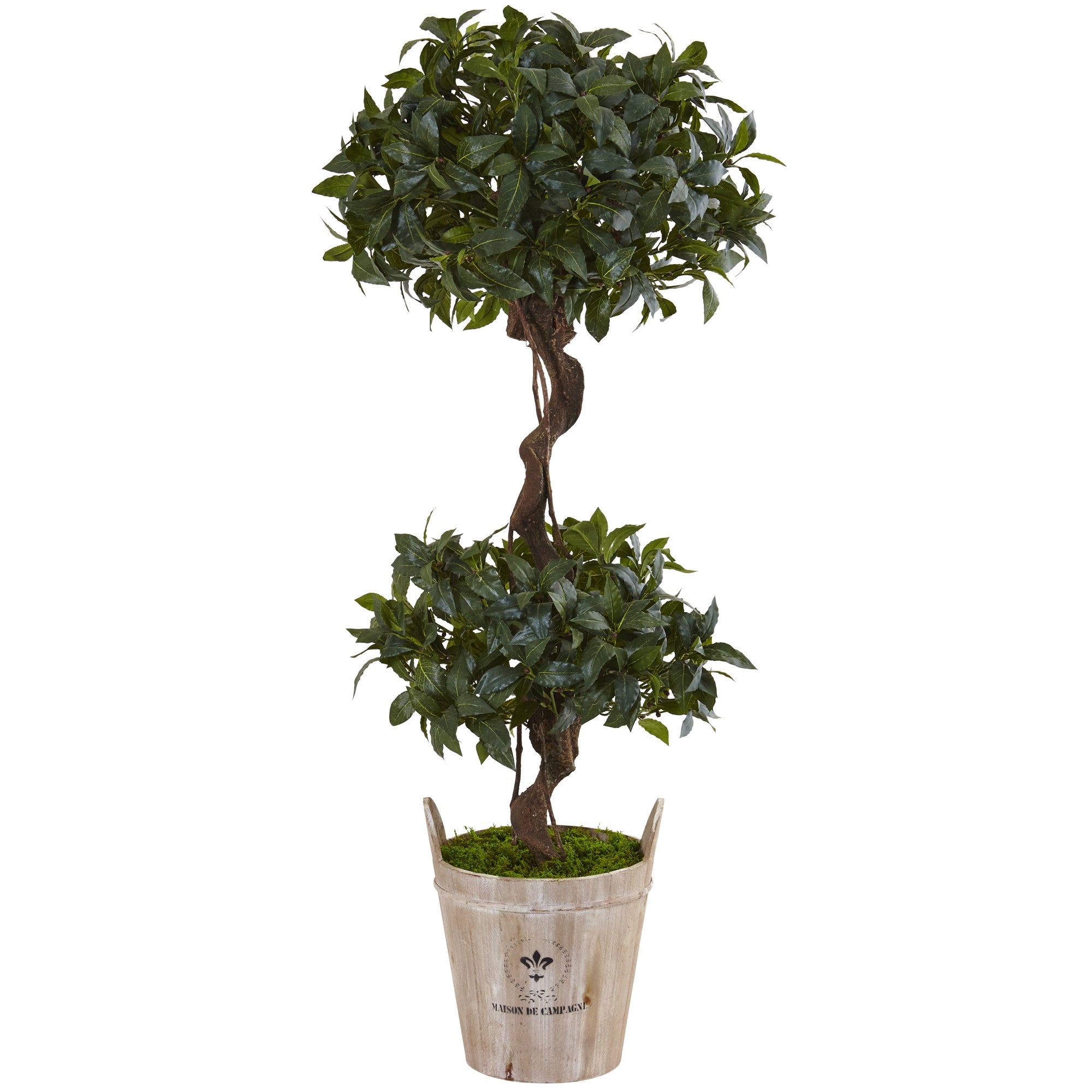 4.5' Sweet Bay Double Topiary Tree in Farmhouse Planter | Zigeze