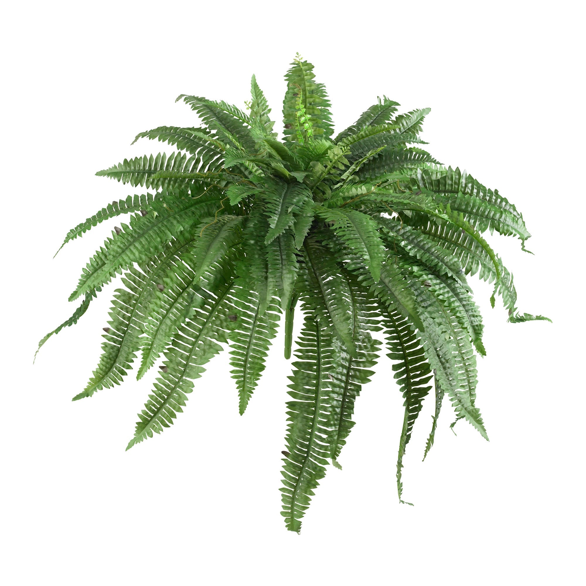 48" Artificial Boston Fern Plant, Set of 2 | Zigeze