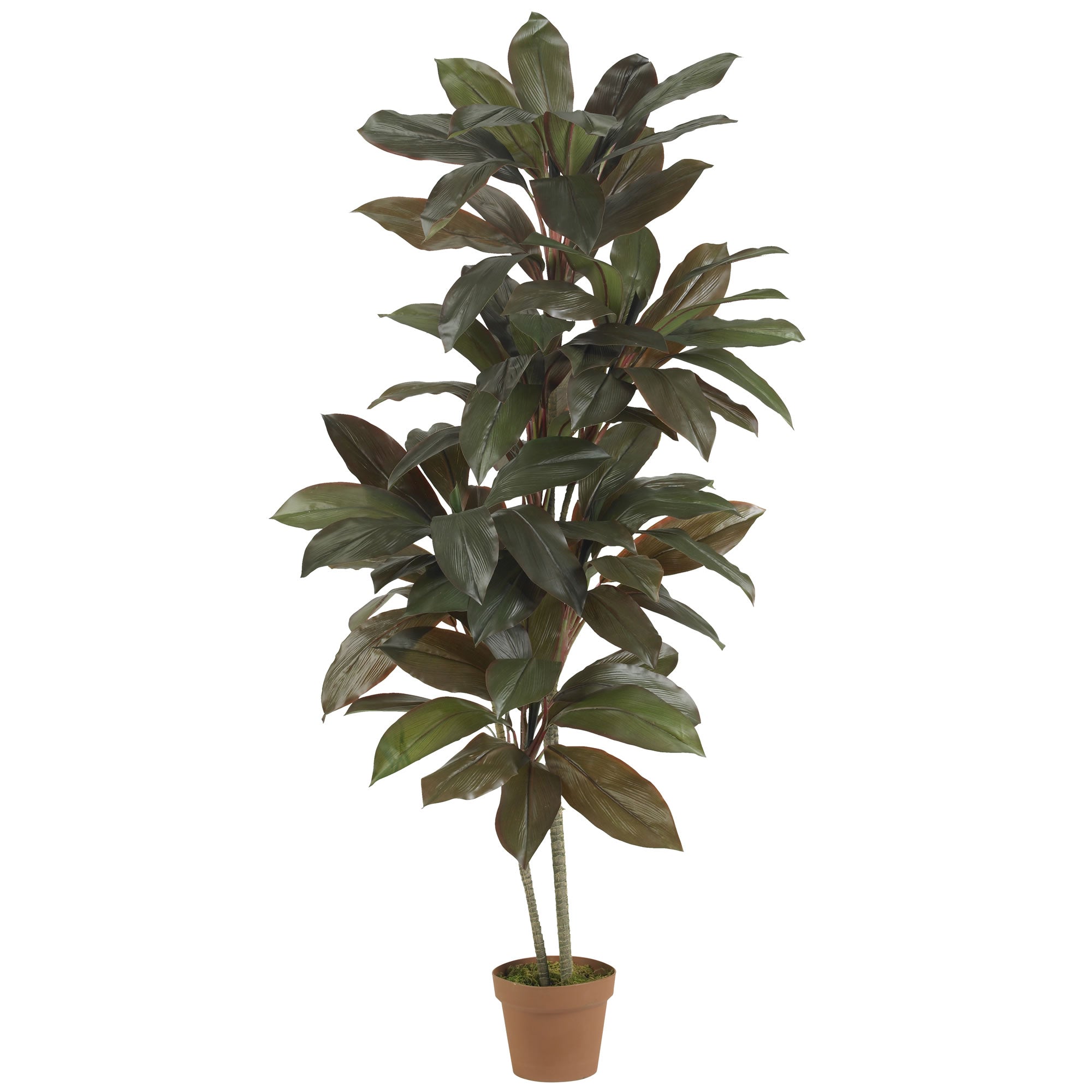 5' Artificial Cordyline Silk Plant (Real Touch) | Zigeze