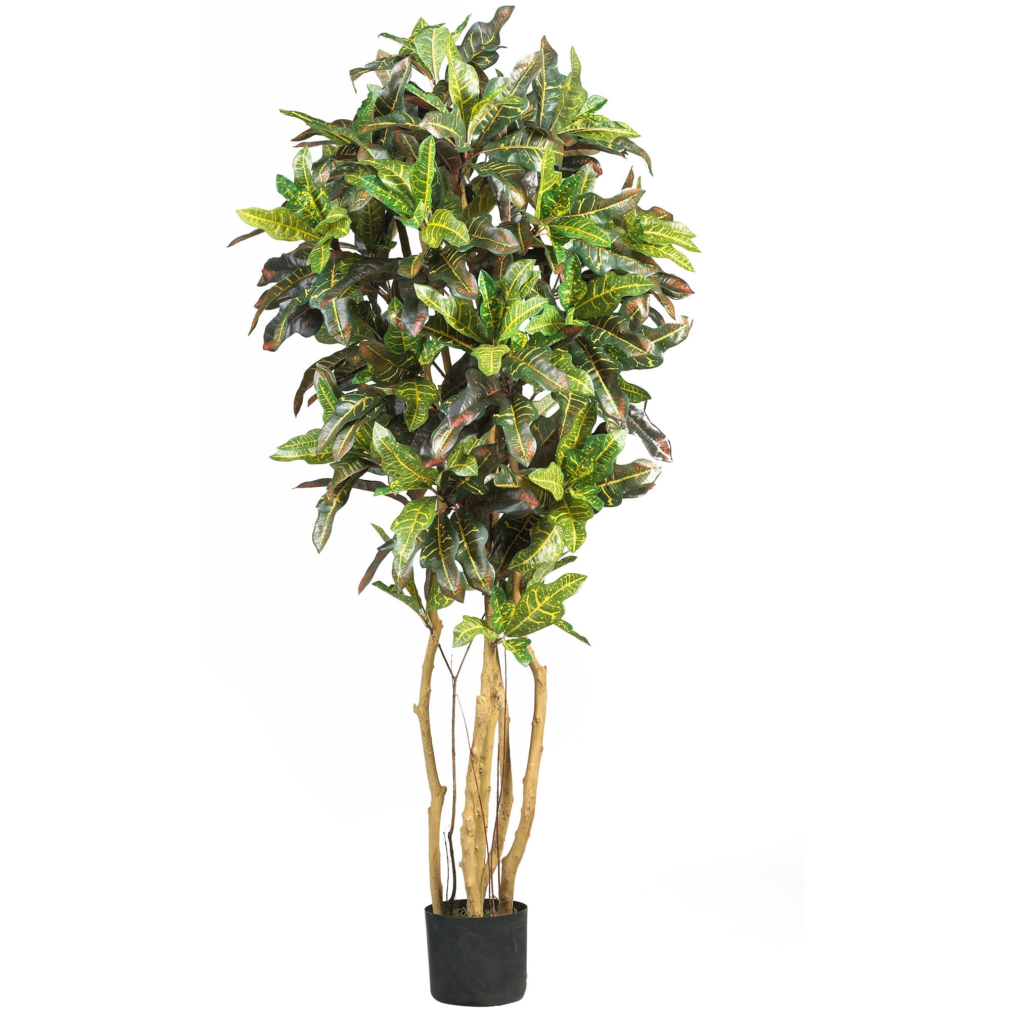 5' Artificial Croton Silk Tree with Multi - Colored Leaves | Zigeze