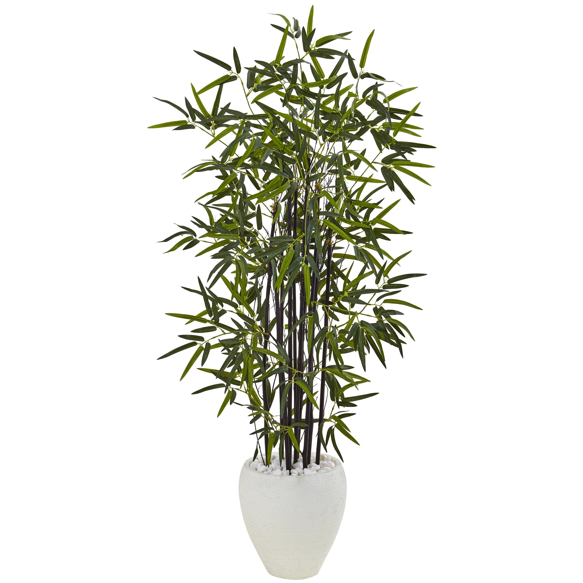 5' Black Bamboo Tree in White Oval Planter | Zigeze