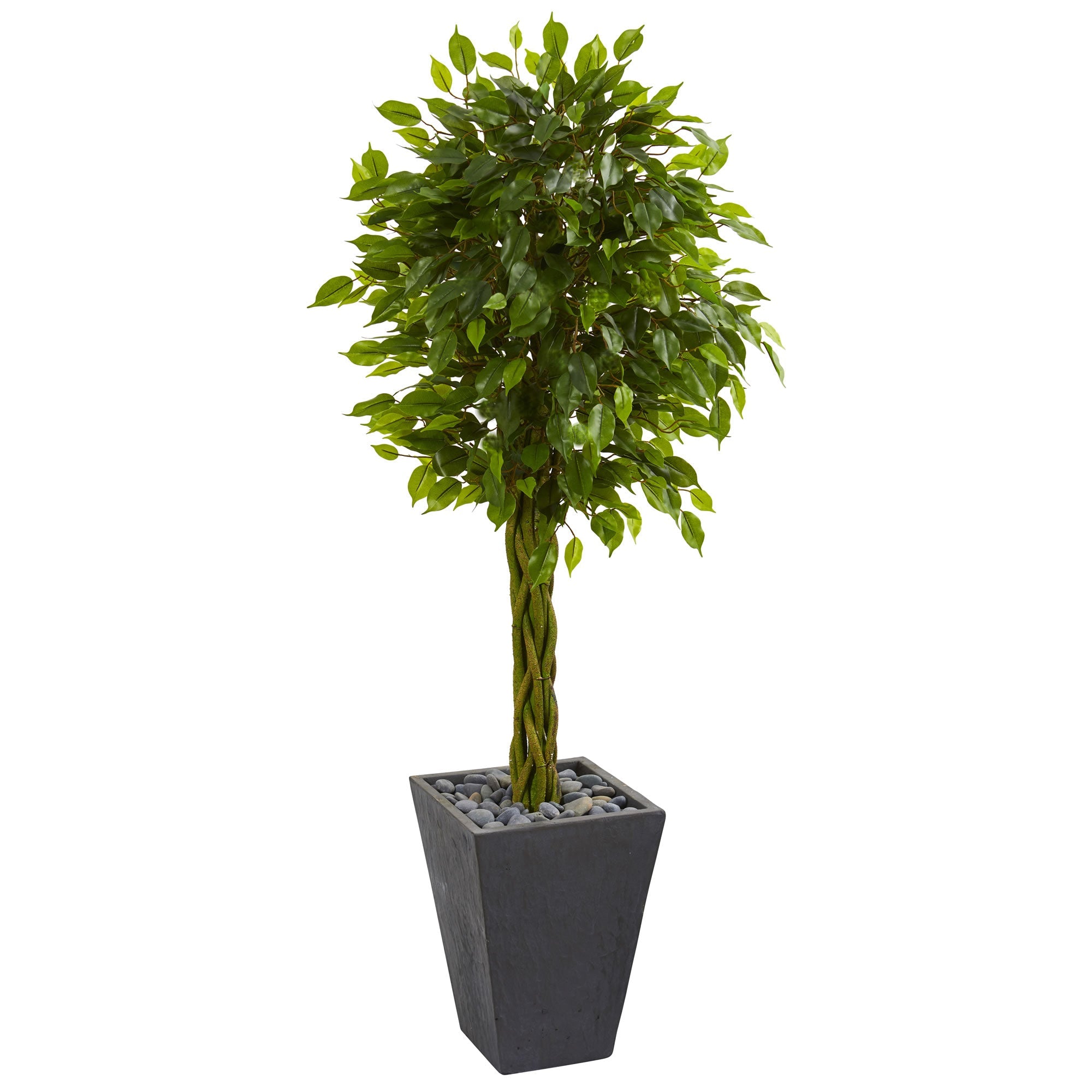 5' Braided Ficus Artificial Tree in Slate Planter | Zigeze