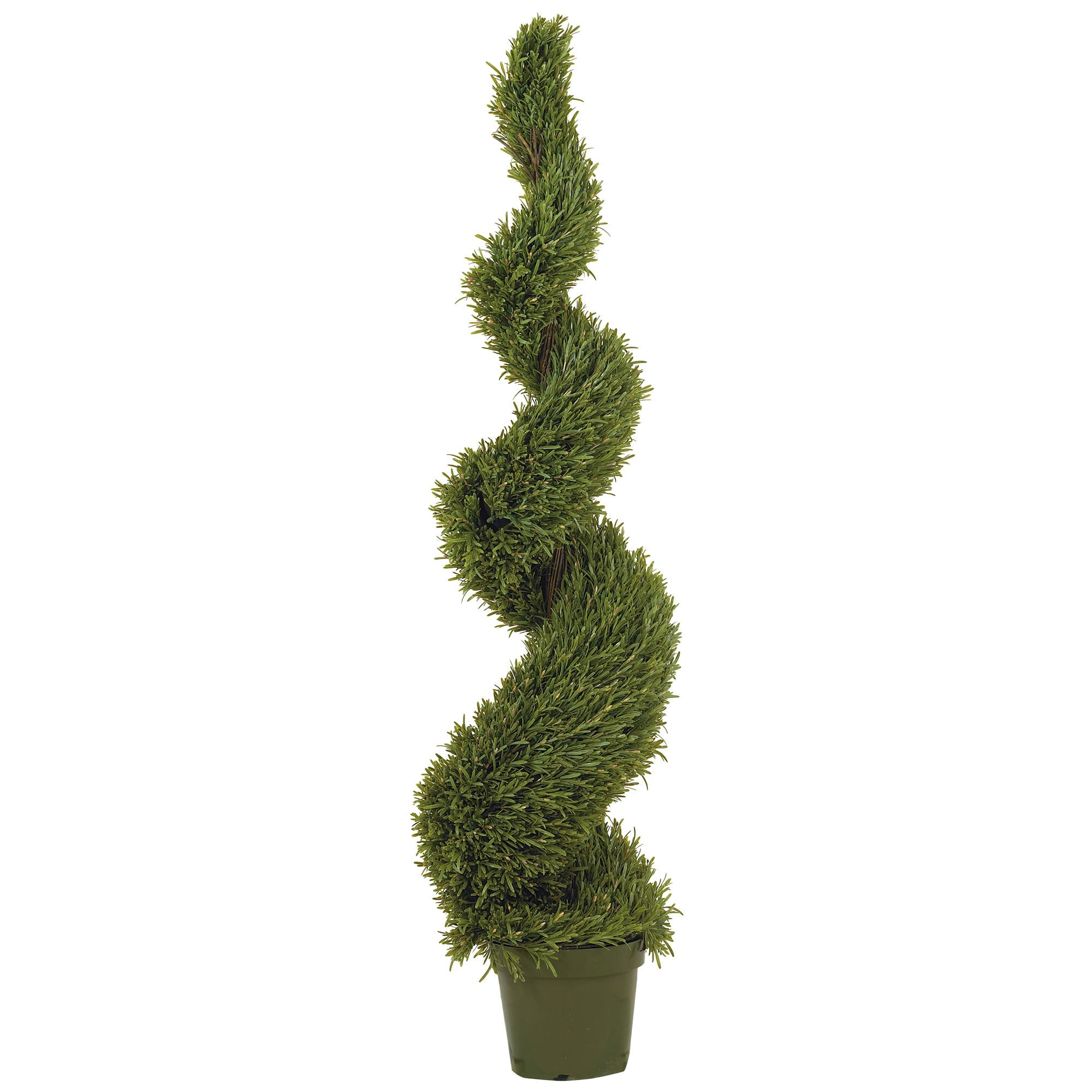 5 - Foot Artificial Rosemary Spiral Silk Tree | Zigeze