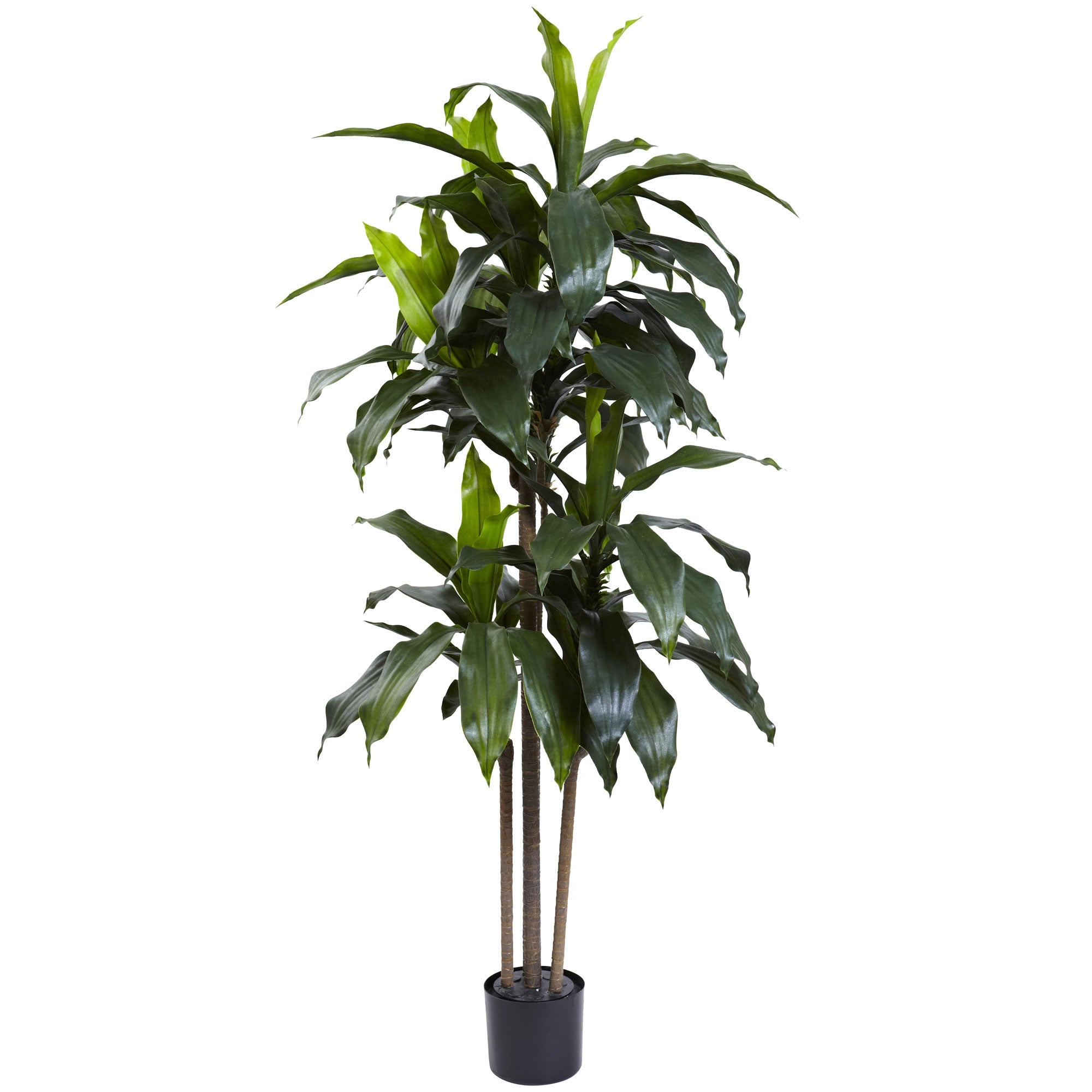 5 - Foot Dracaena Artificial Indoor/Outdoor Plant | Zigeze