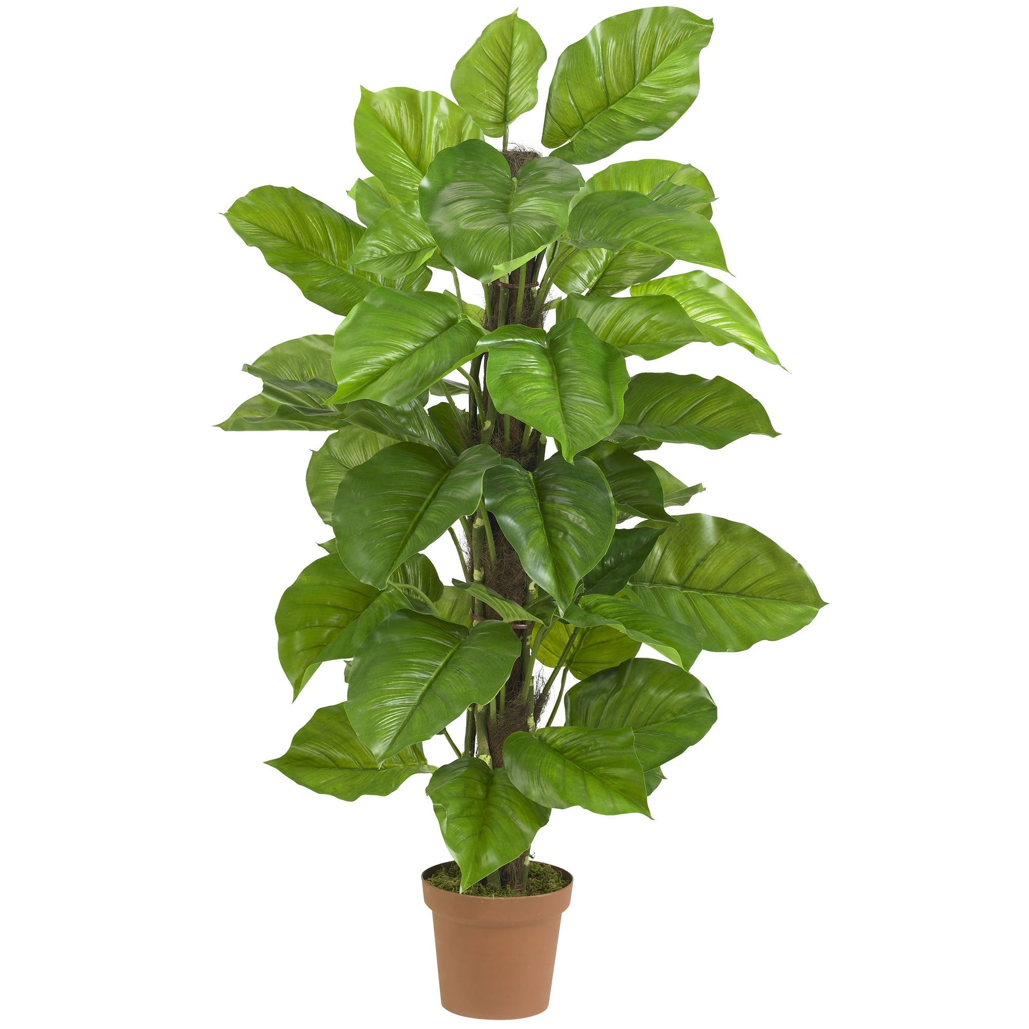 52" Large Leaf Philodendron Silk Plant (Real Touch) | Zigeze