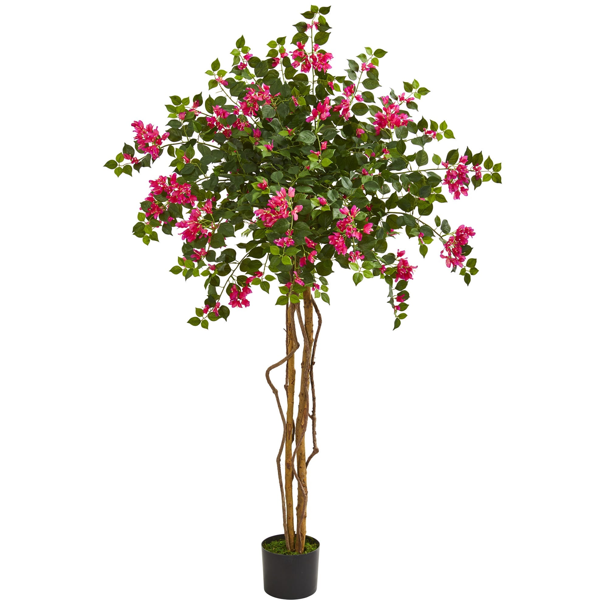 5.5' Bougainvillea Artificial Tree with Two Trunks | Zigeze