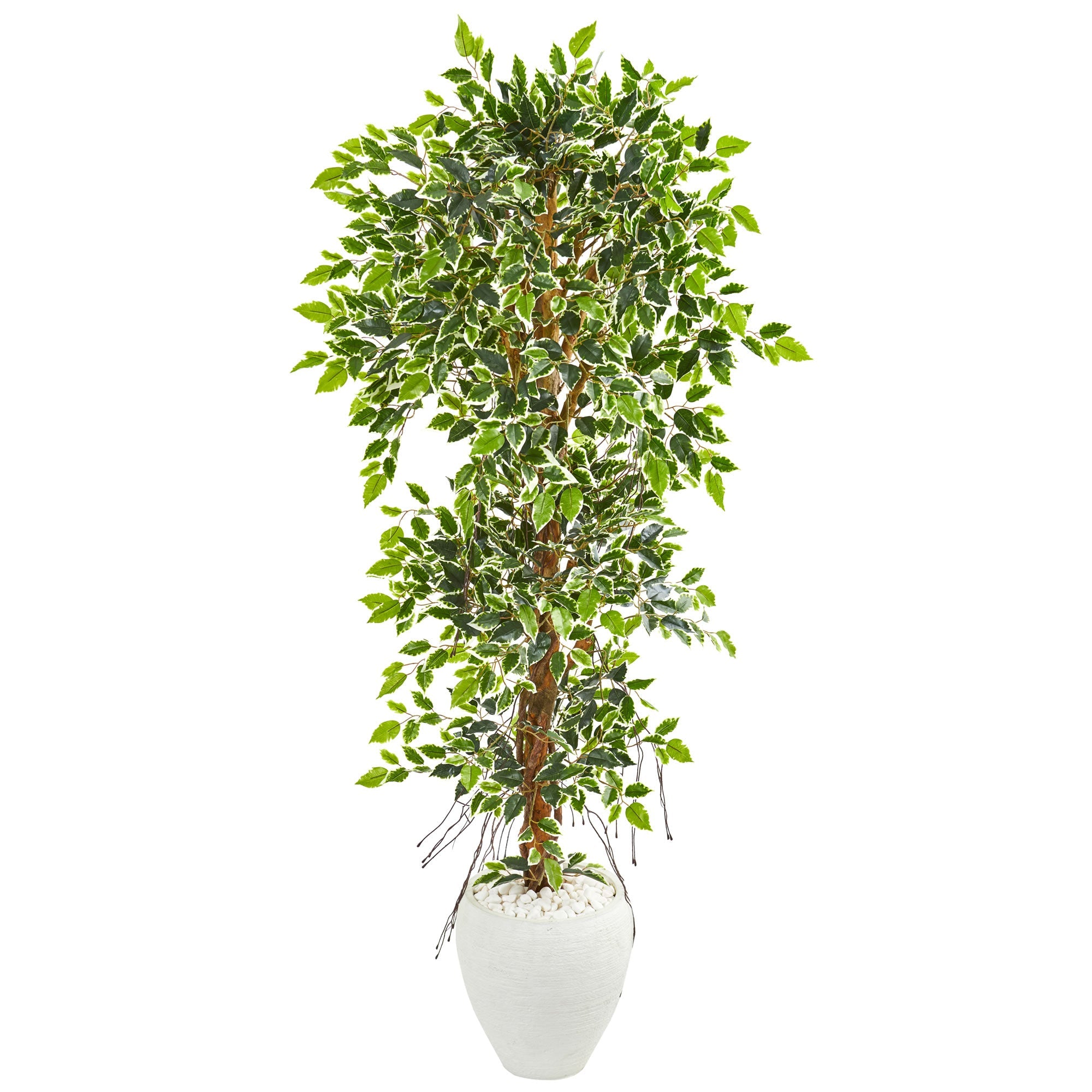 5.5' Elegant Ficus Artificial Tree in White Planter | Zigeze