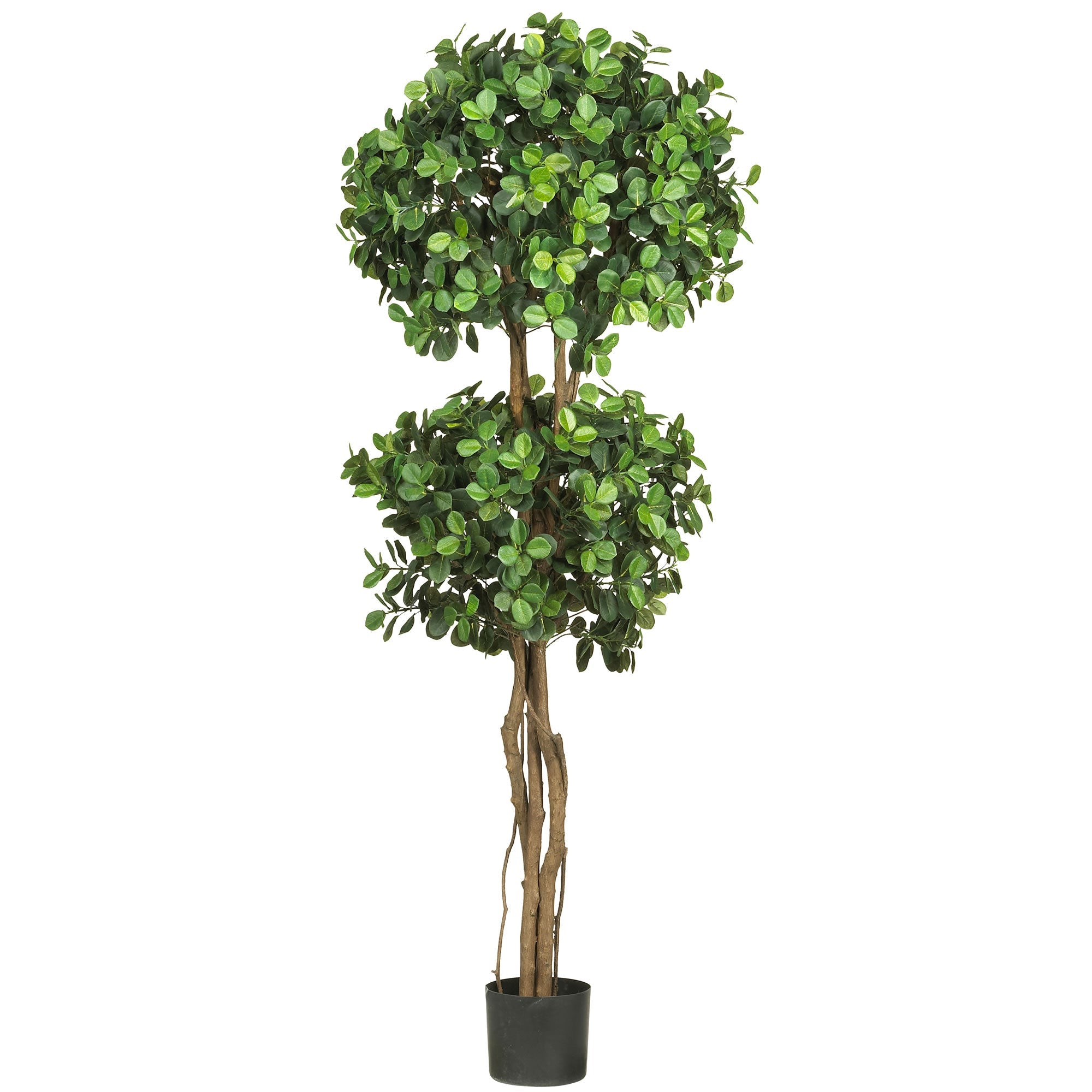 5.5' Eucalyptus Double Ball Topiary Silk Tree | Zigeze