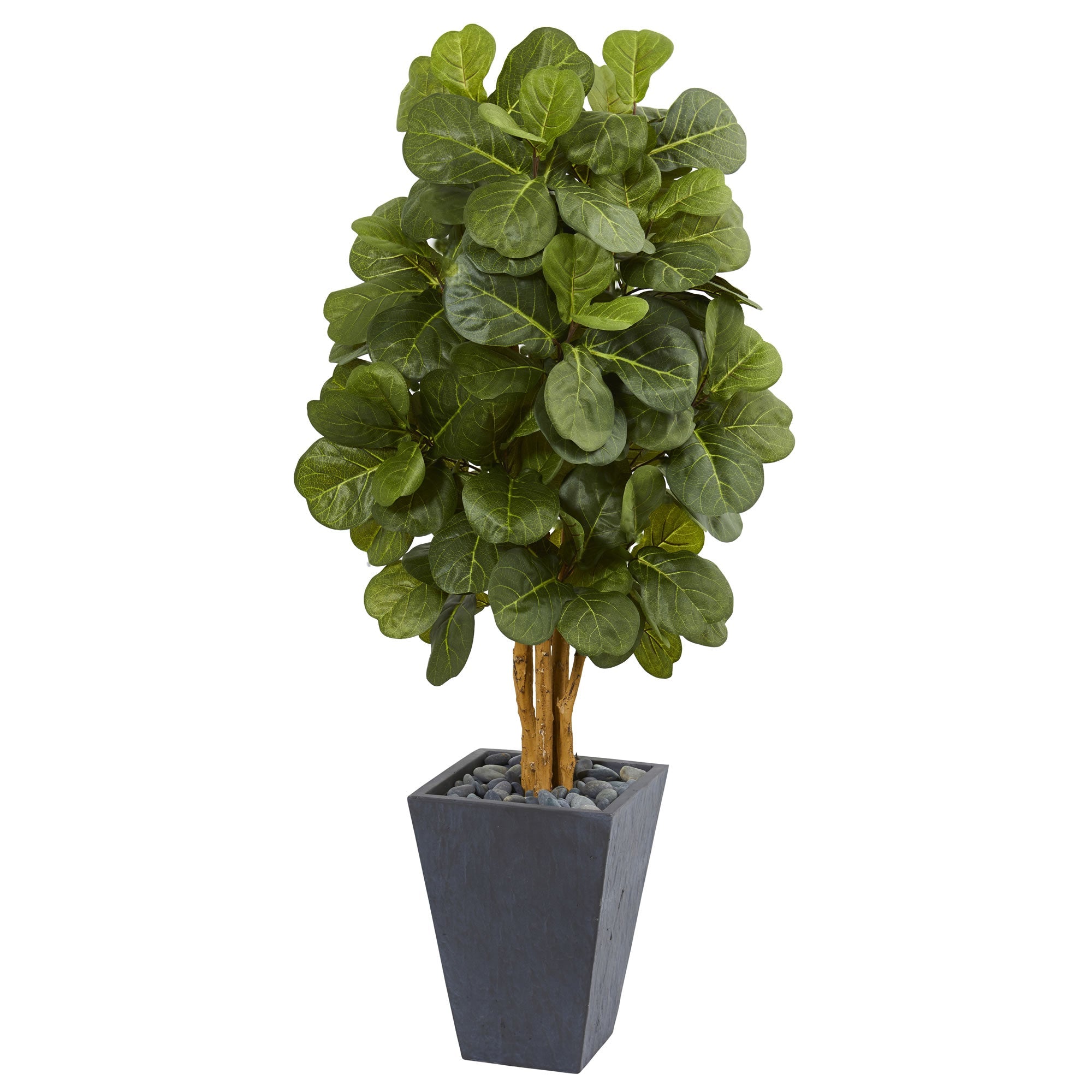 5.5' Fiddle Leaf Artificial Tree in Slate Planter | Zigeze