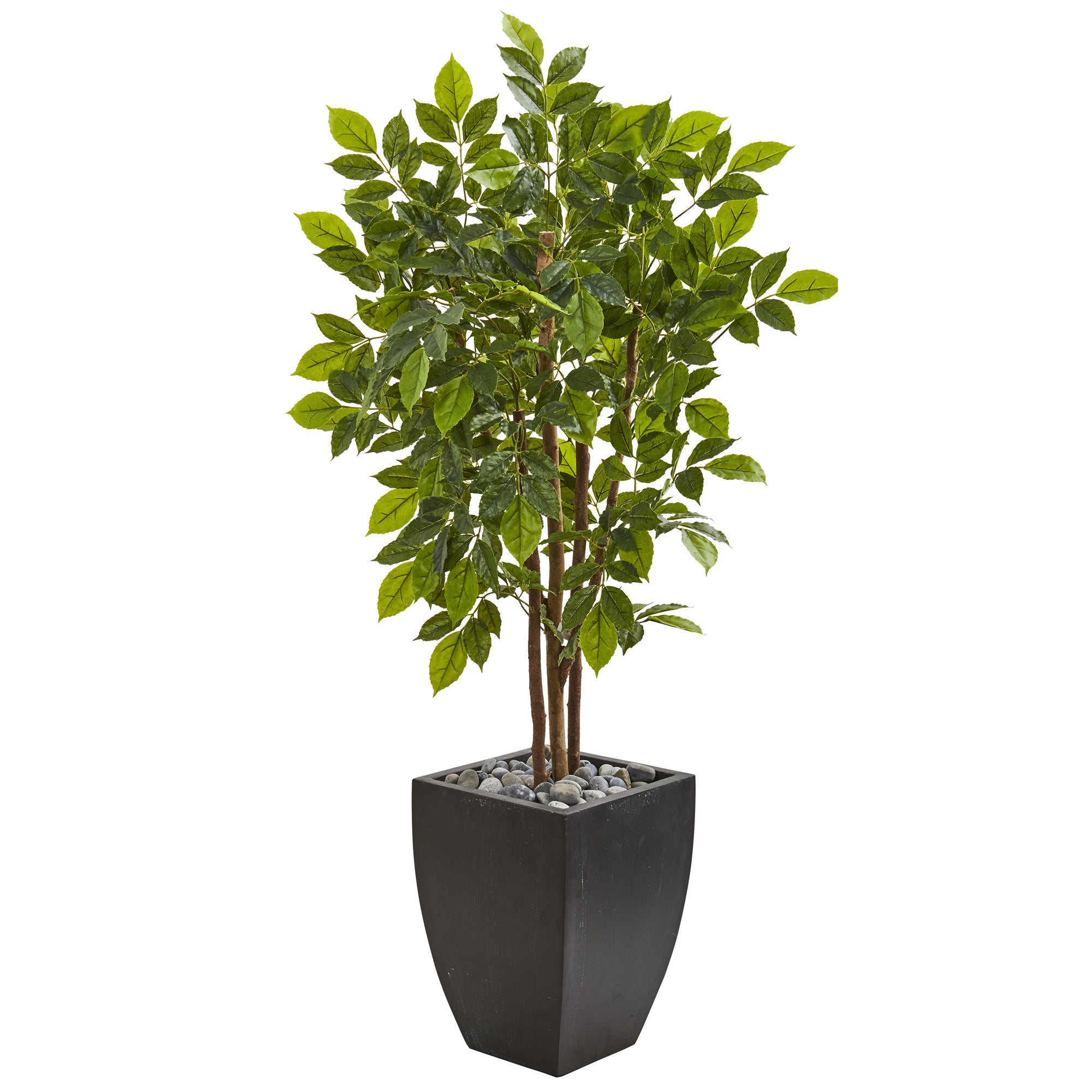 57" River Birch Artificial Tree in Black Planter | Zigeze