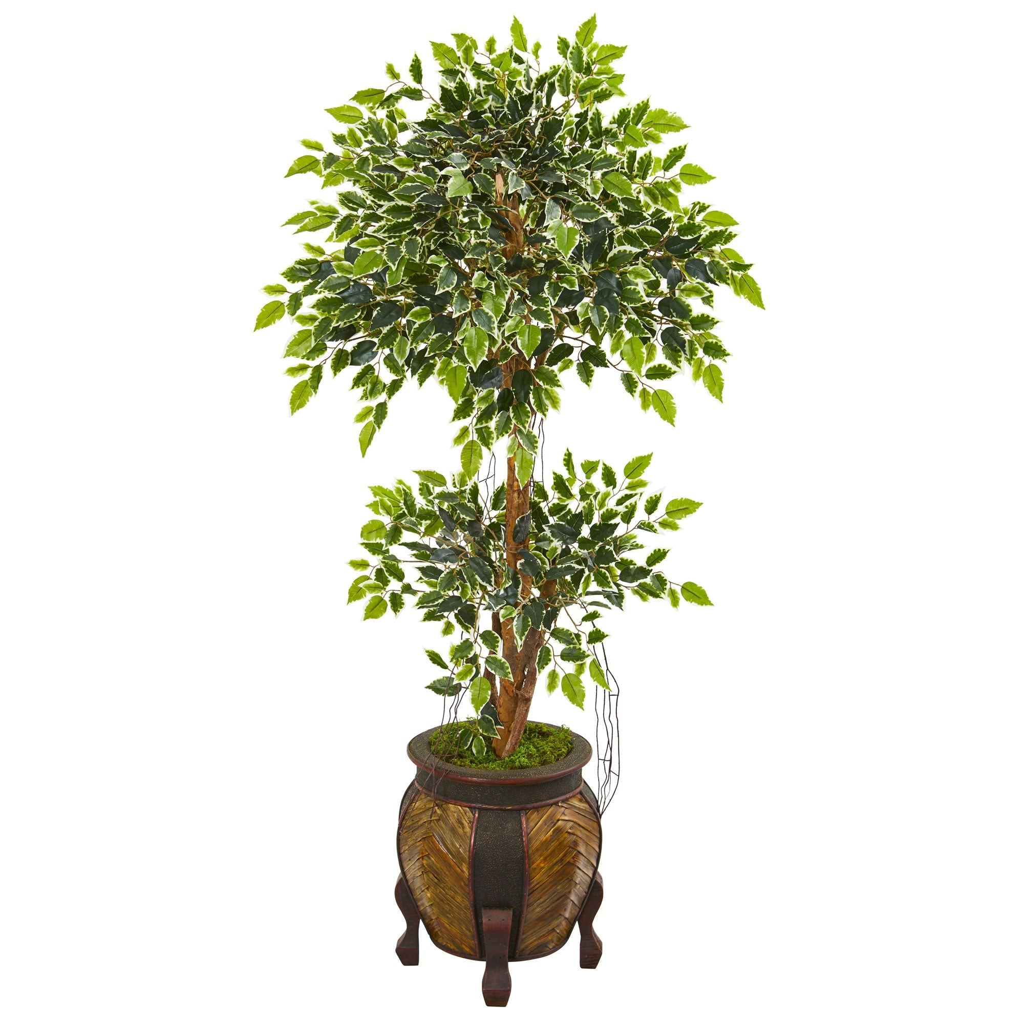 59" Variegated Ficus Artificial Tree in Decorative Planter | Zigeze