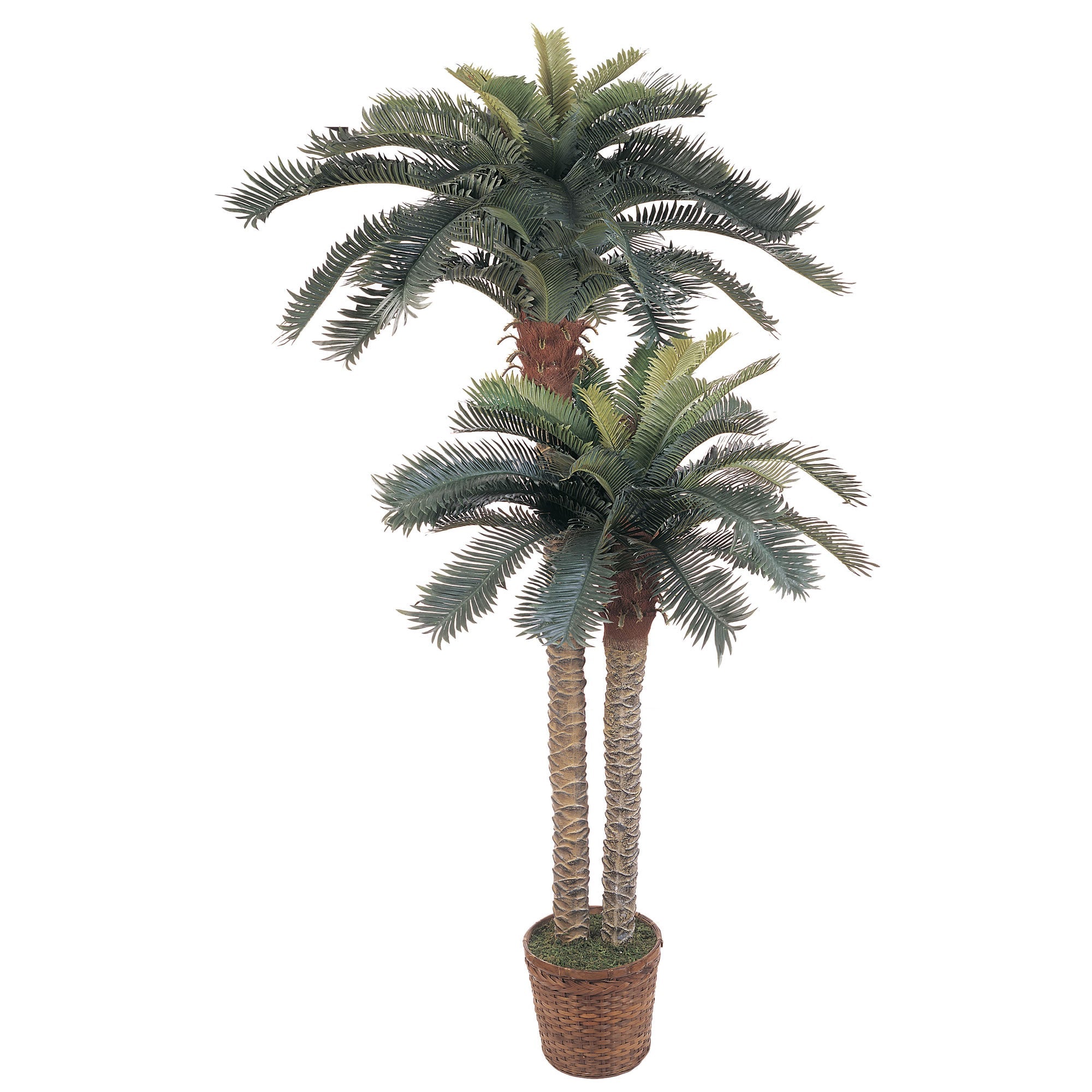 6' and 4' Sago Palm Double Potted Silk Tree | Zigeze