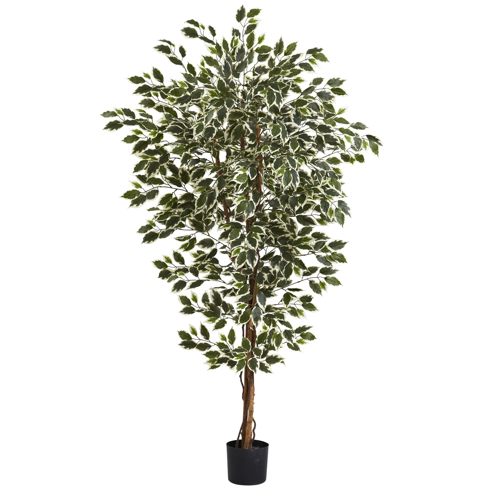 6' Artificial Hawaiian Ficus Tree with 1,008 Leaves | Zigeze