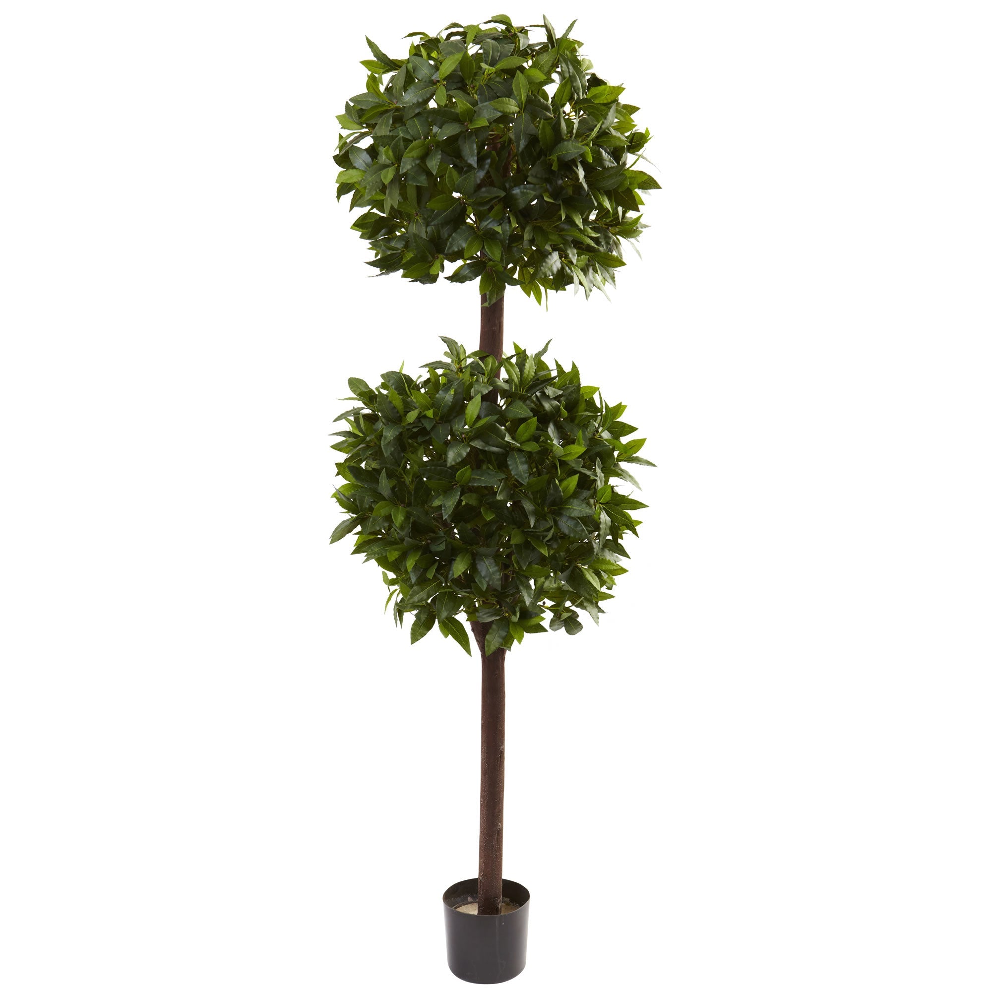 6' Artificial Sweet Bay Double Ball Topiary | Zigeze