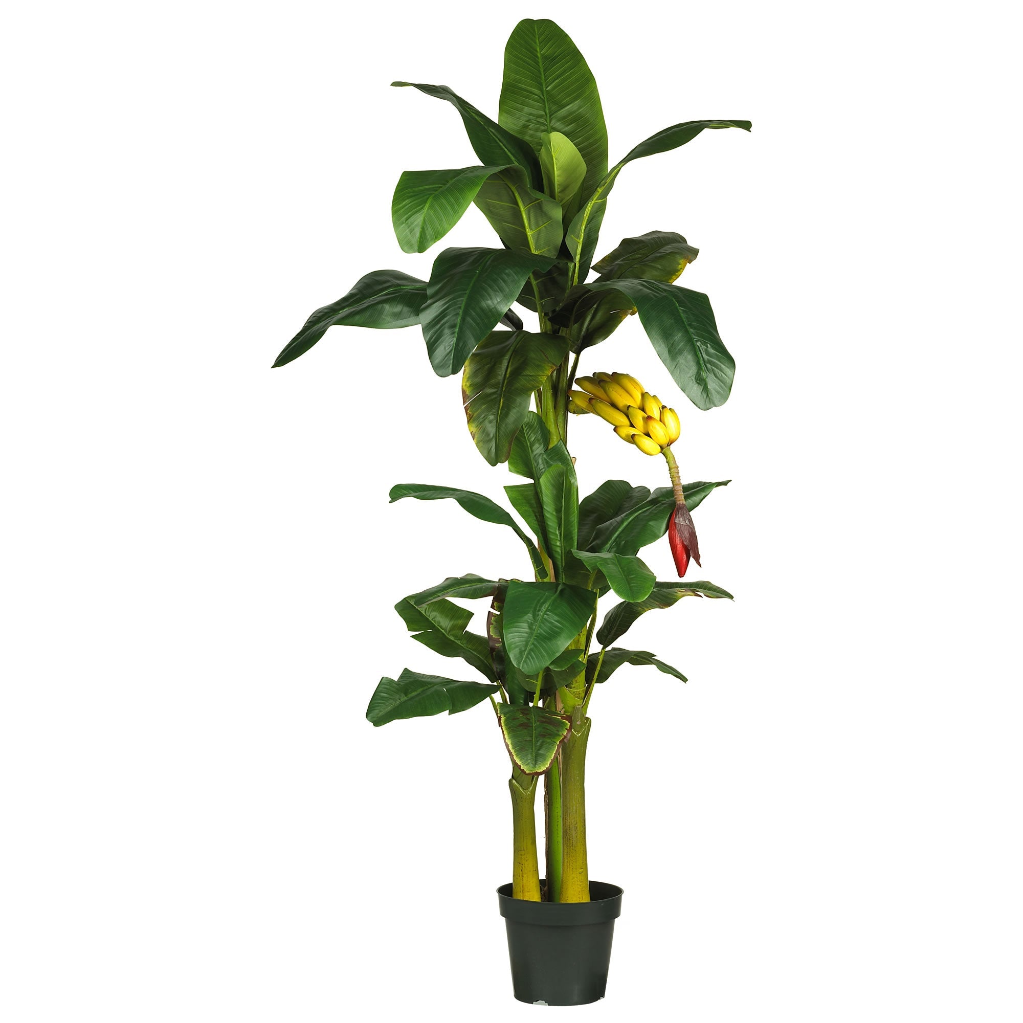 6' Artificial Triple Stalk Banana Silk Tree | Zigeze