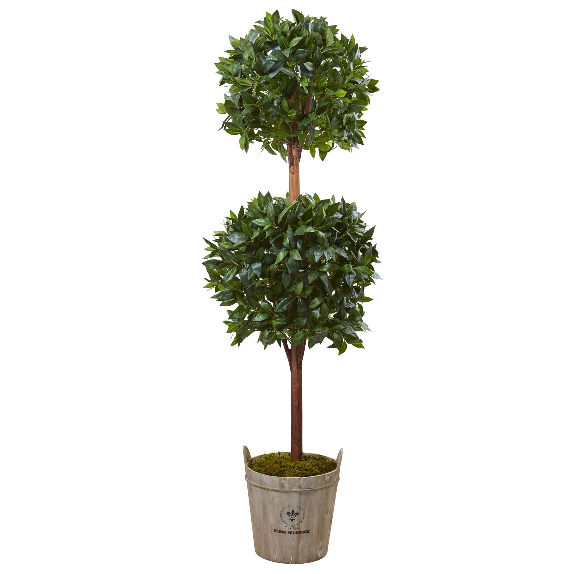 6' Double Ball Topiary Tree with European Barrel Planter | Zigeze