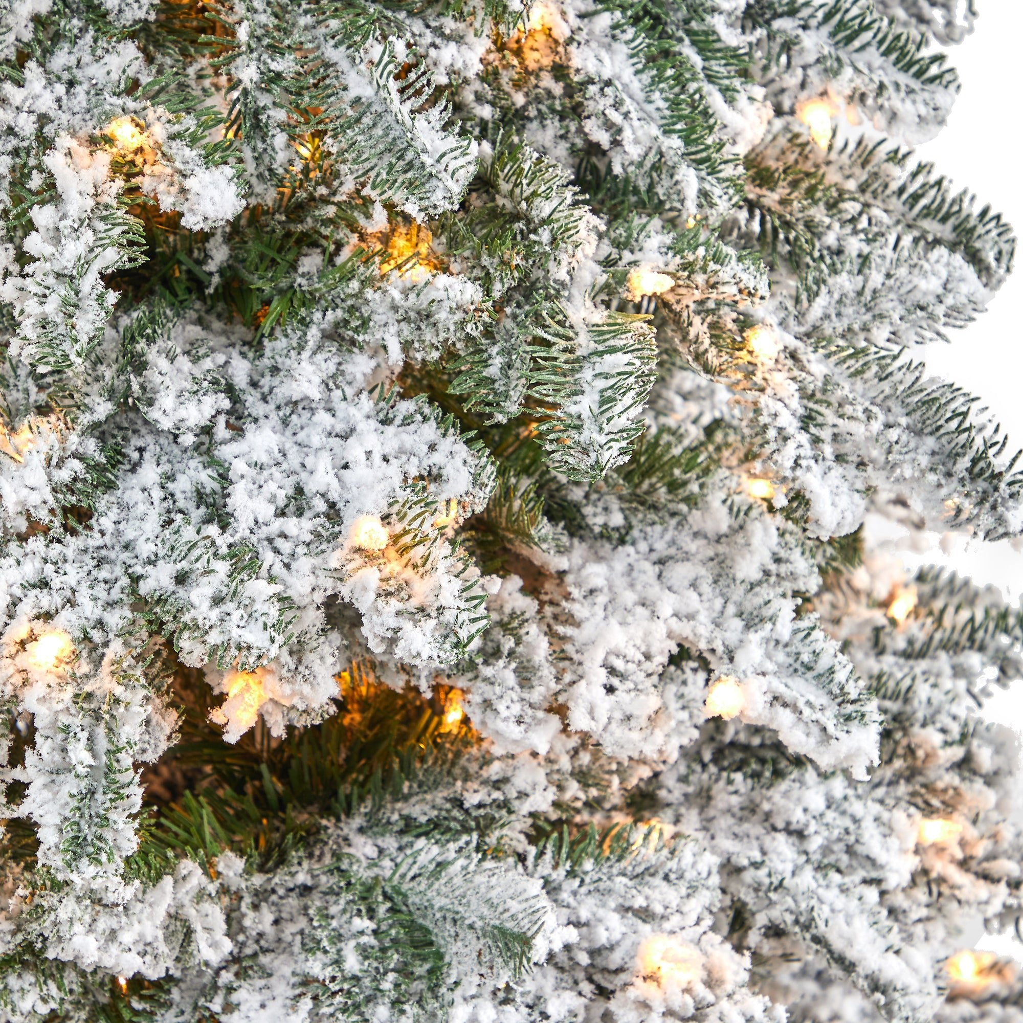 6' Flocked North Carolina Fir, 450 Lights and 1,560 Branches | Zigeze