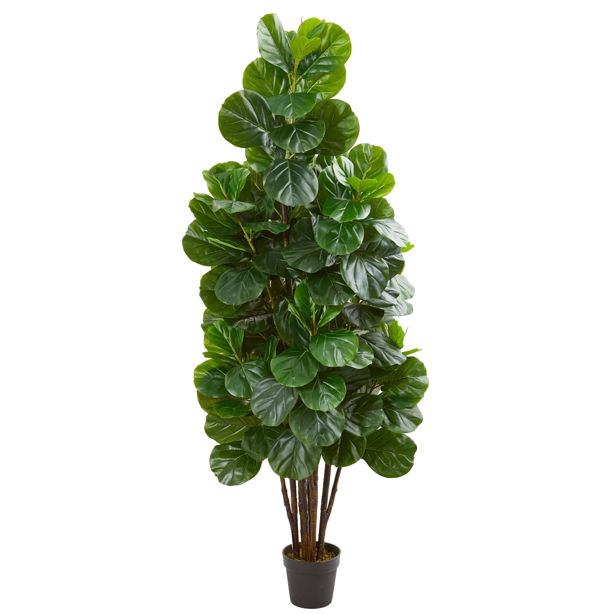 6 - Foot Artificial Fiddle Leaf Fig Silk Tree | Zigeze