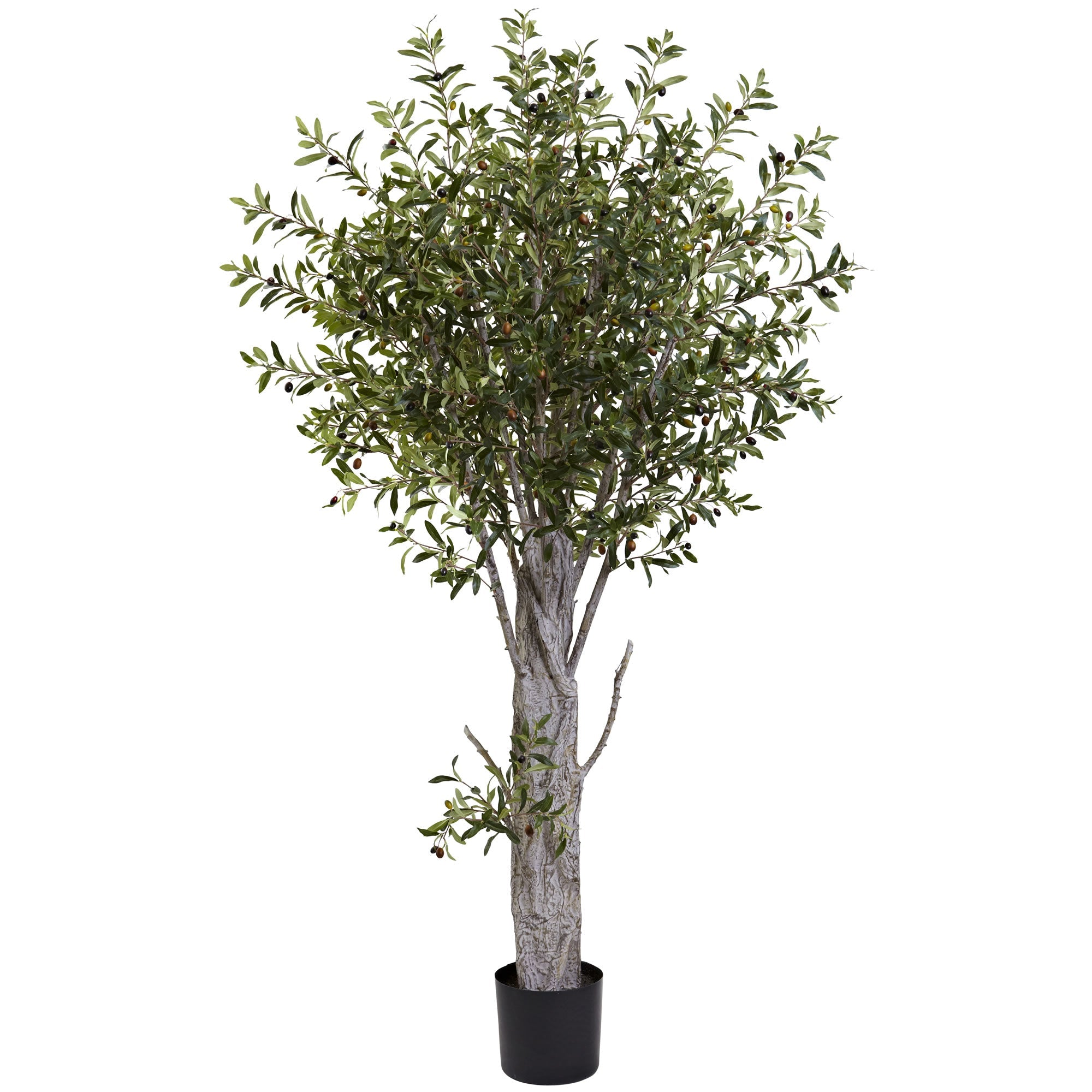 6 - Foot Artificial Olive Tree with 3,864 Leaves | Zigeze