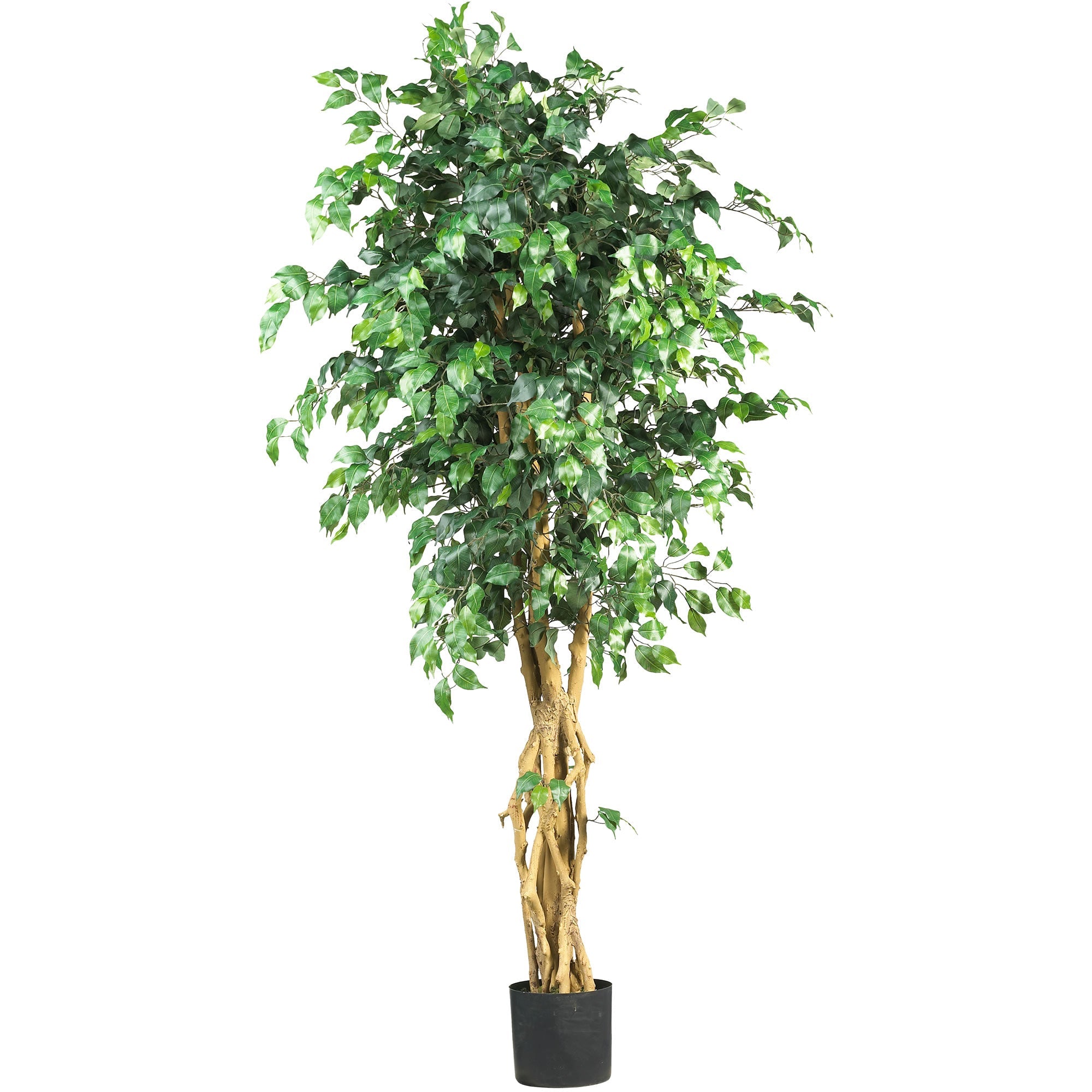 6 - Foot Artificial Palace Style Ficus Silk Tree | Zigeze