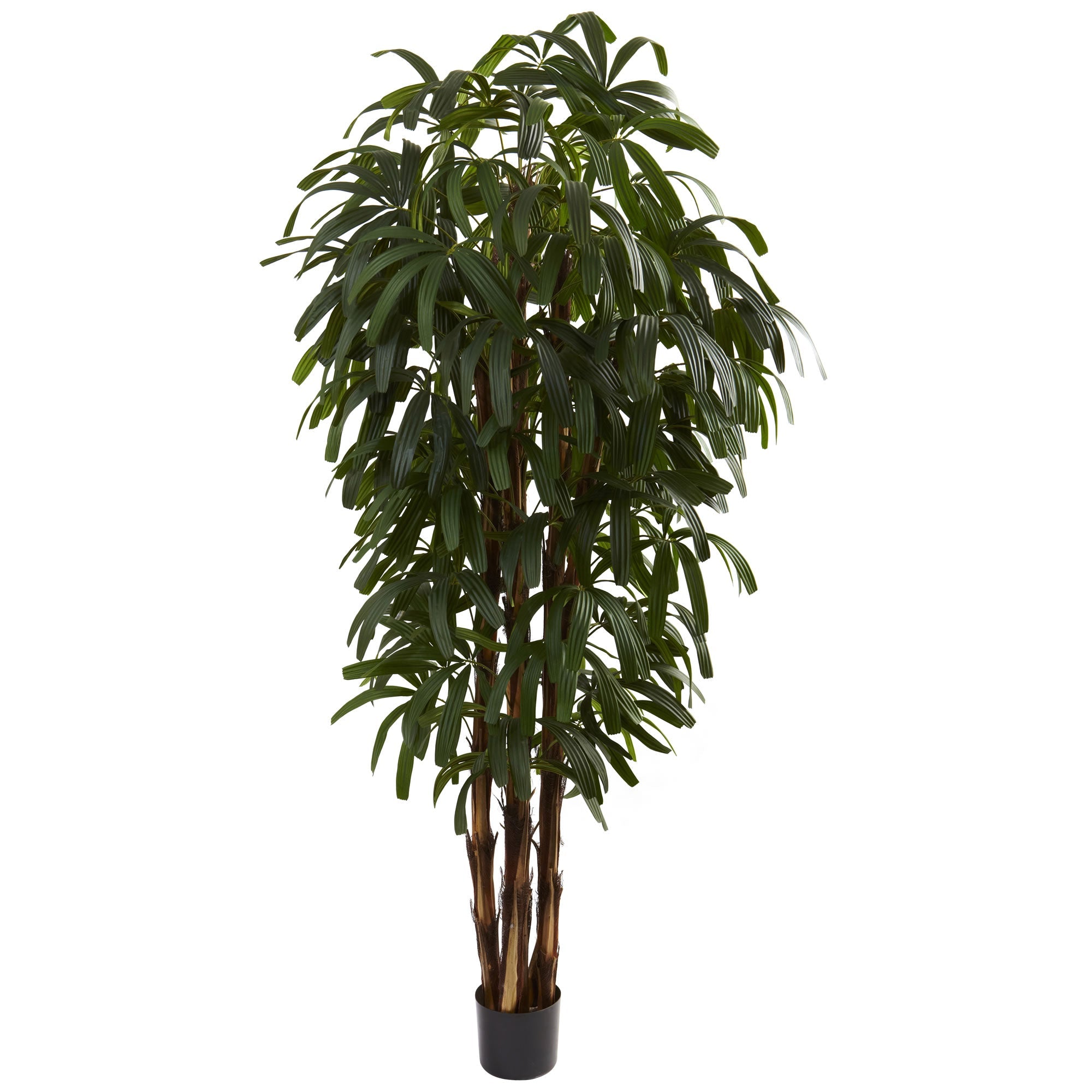 6 - Foot Artificial Raphis Palm Tree with 575 Leaves | Zigeze