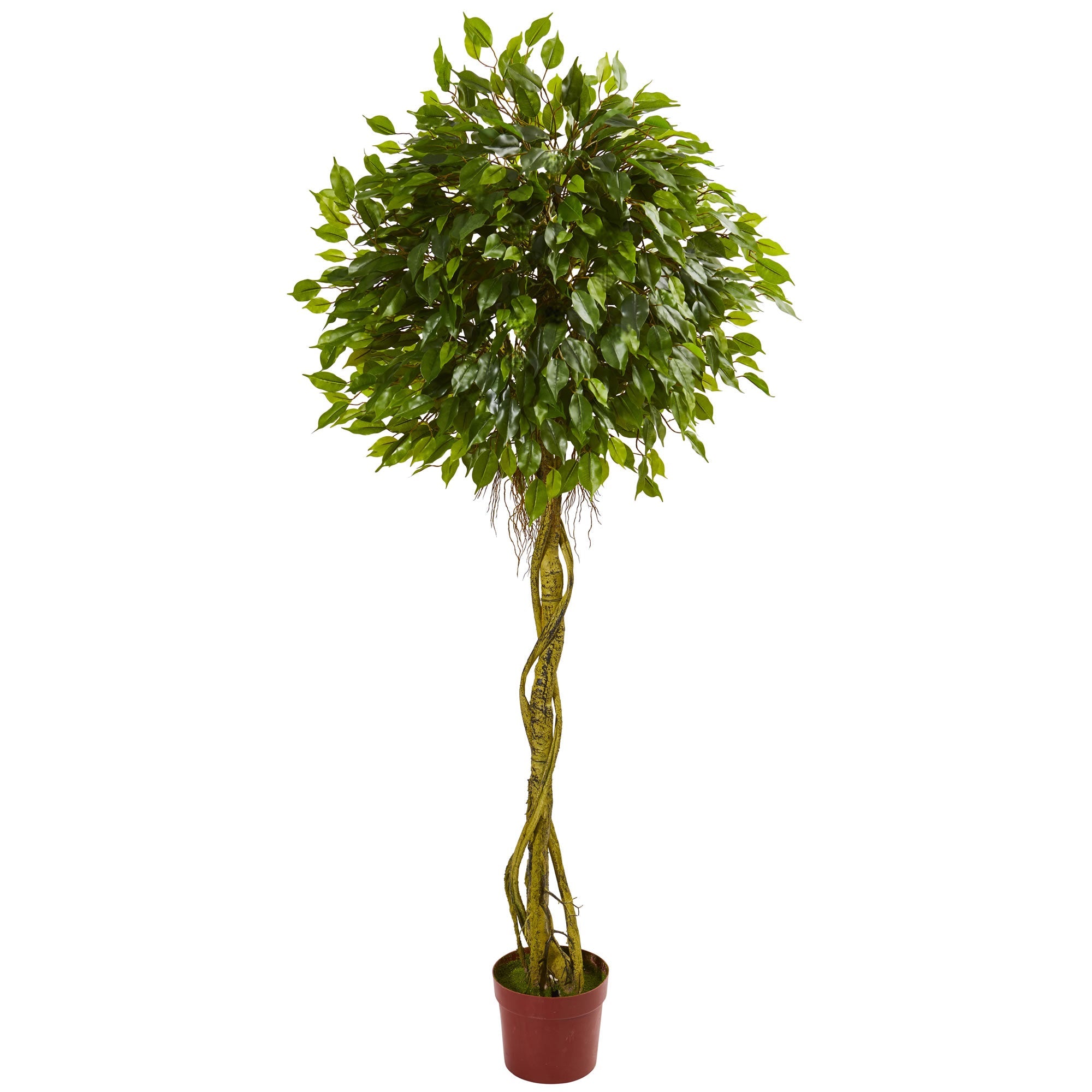 6 - Foot Ficus Artificial Topiary Indoor/Outdoor Tree | Zigeze