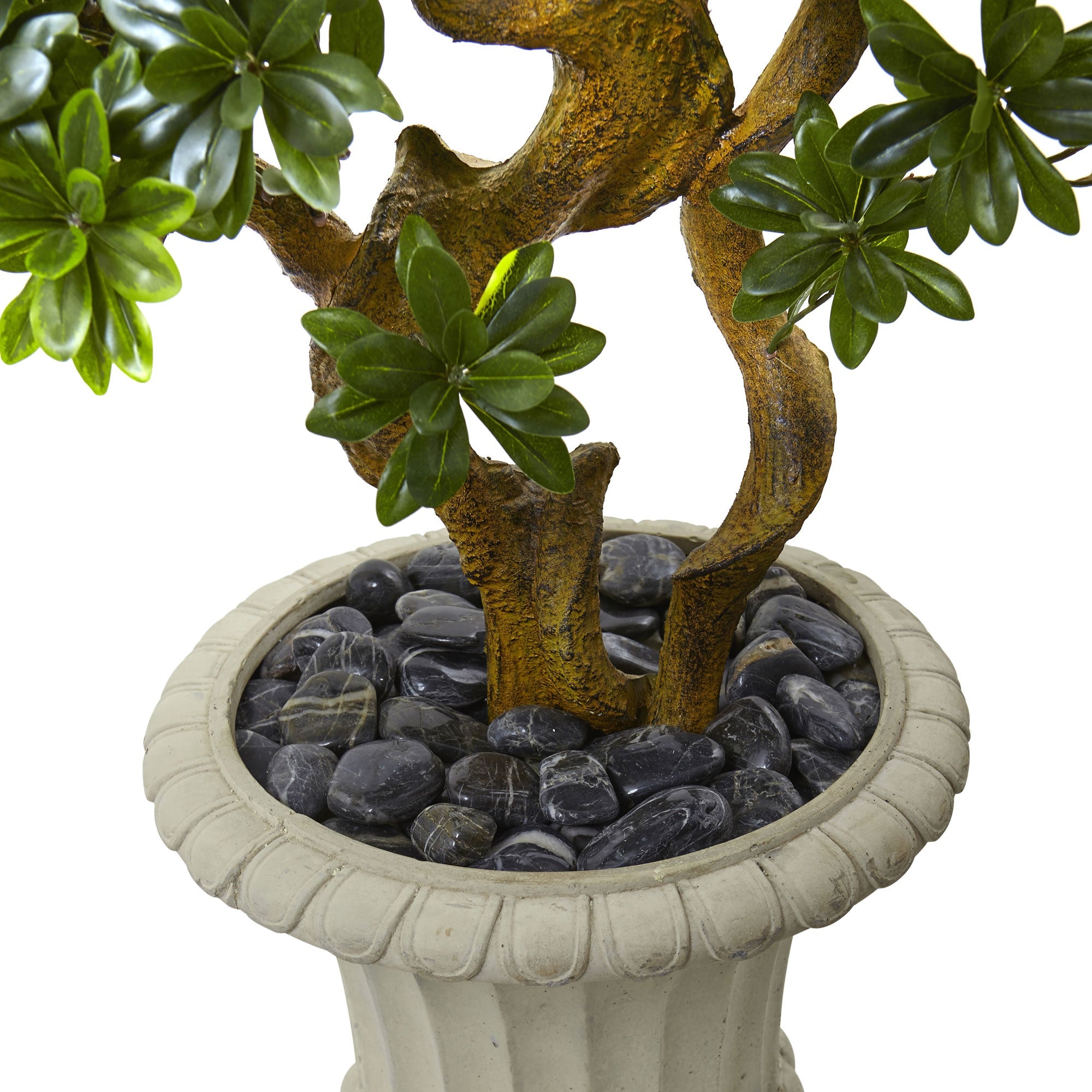 6 - Foot Pittosporum Artificial Indoor/Outdoor Tree in Urn | Zigeze