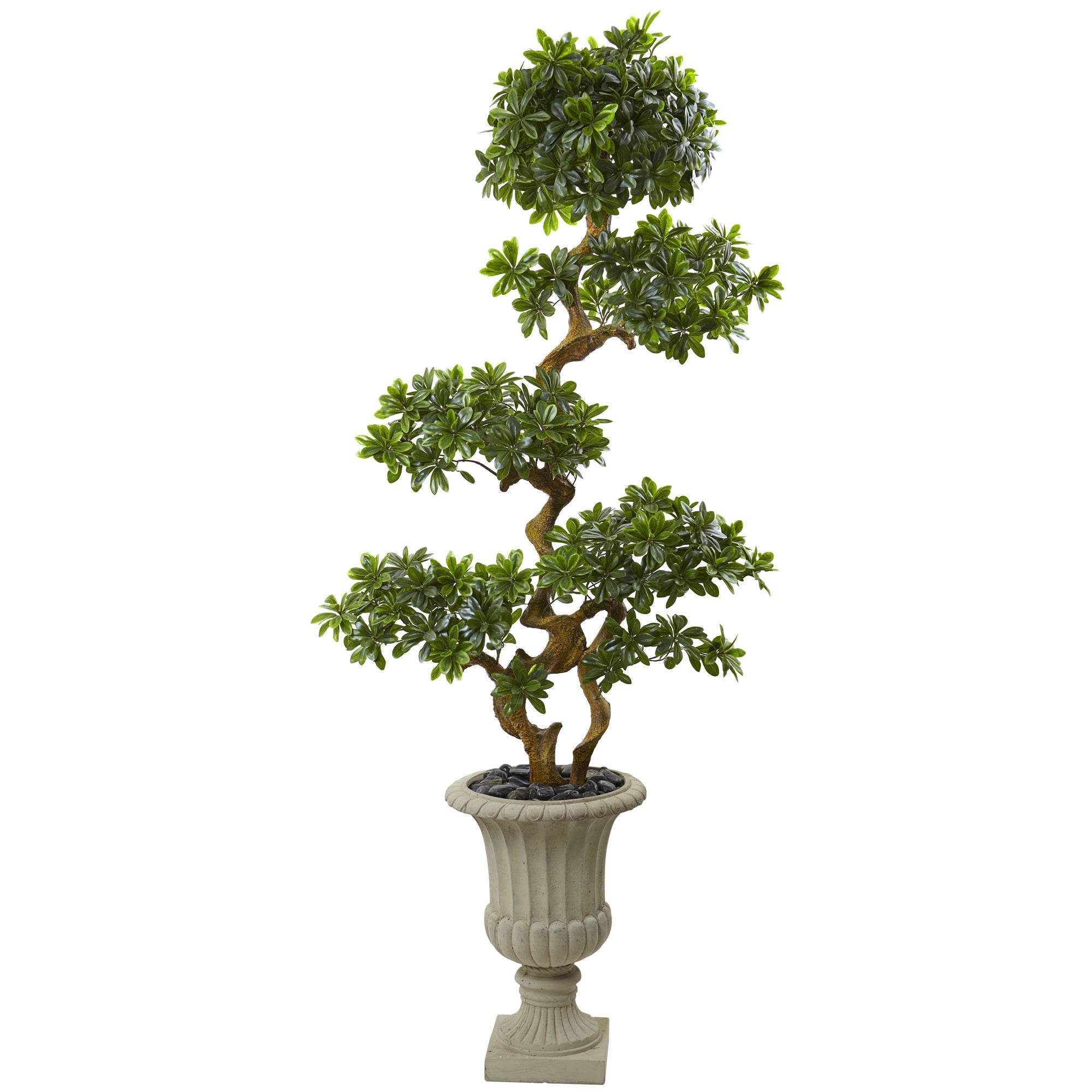 6 - Foot Pittosporum Artificial Indoor/Outdoor Tree in Urn | Zigeze