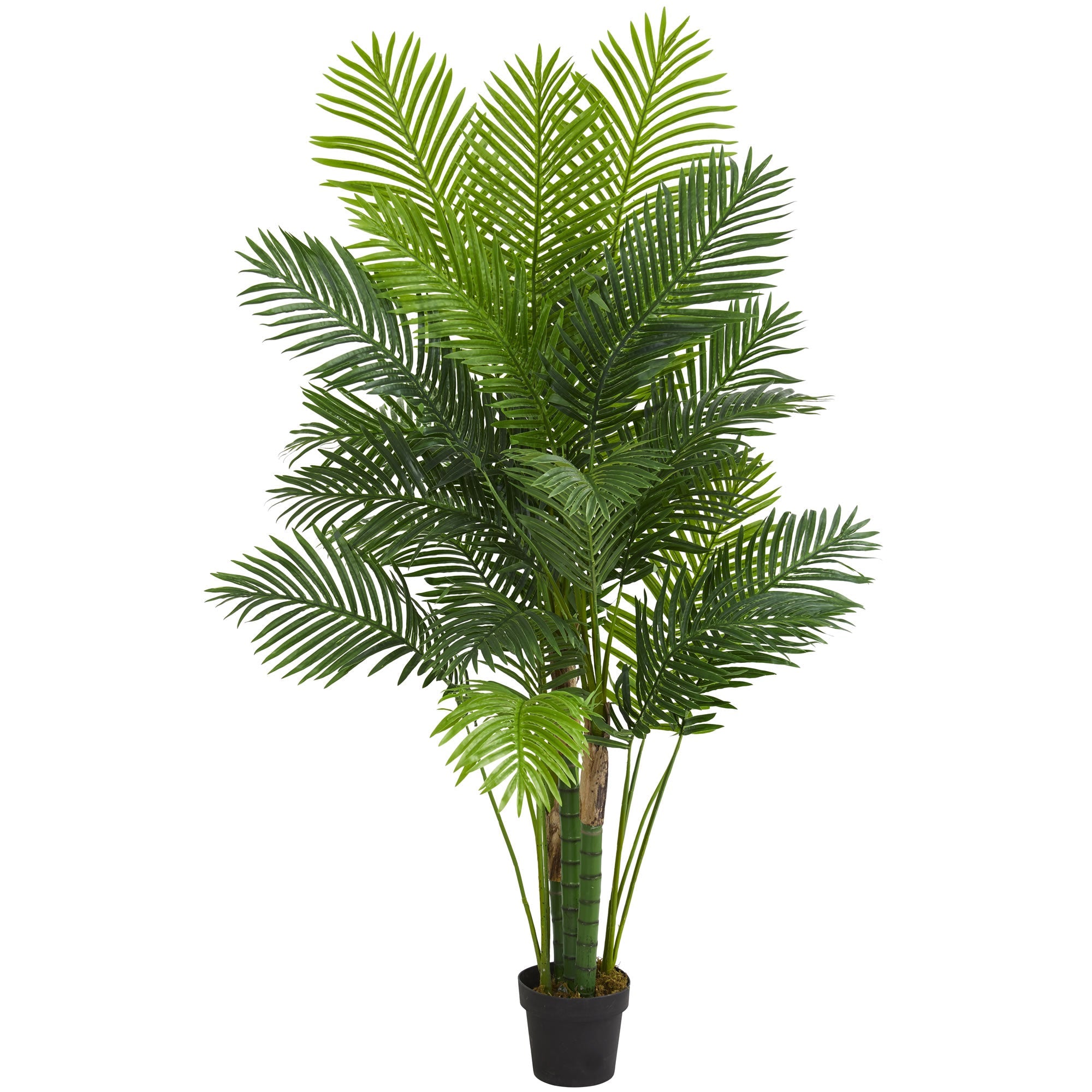 6 - Foot Tropical Hawaii Palm Artificial Tree | Zigeze