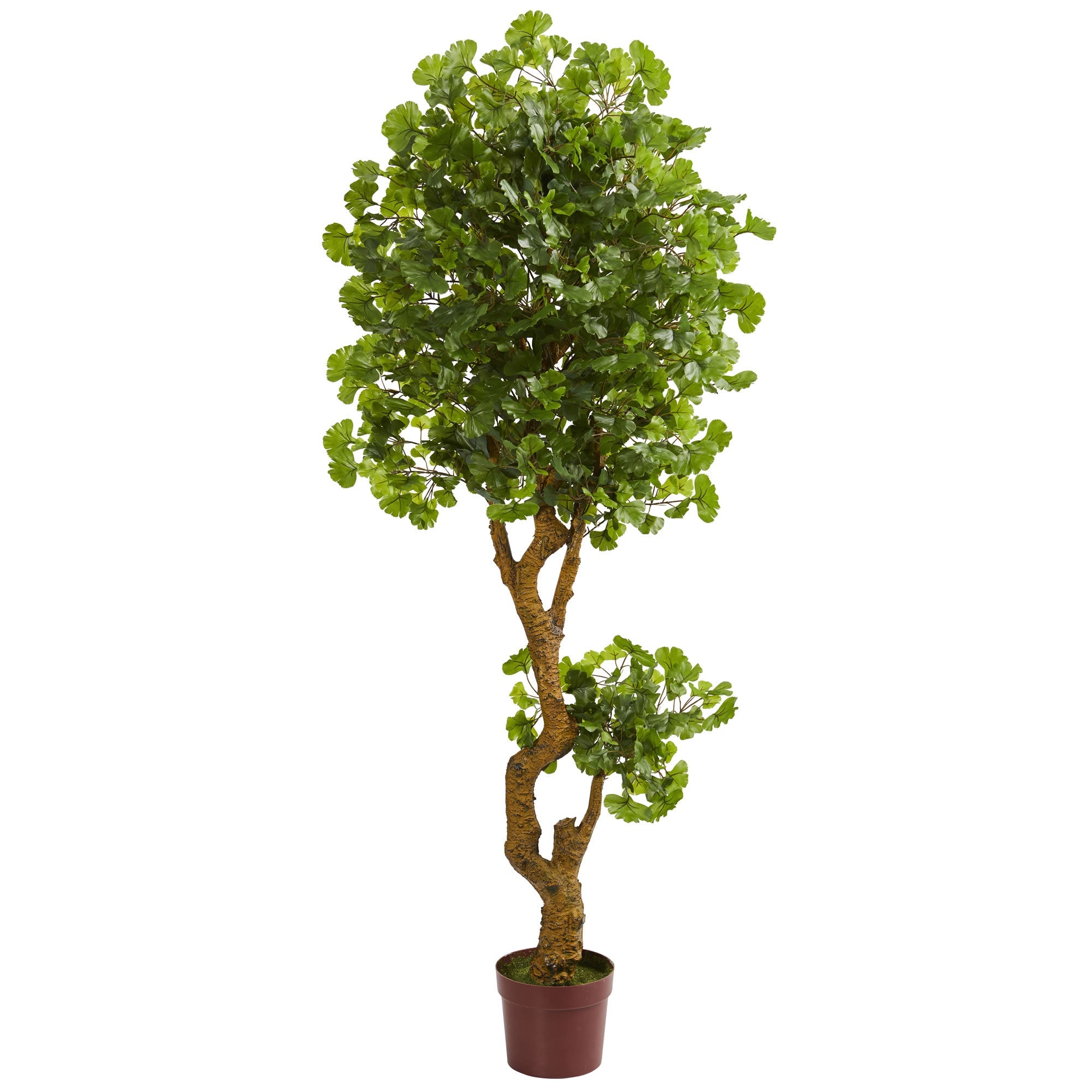 6' Jingo Artificial Tree with Natural Look Trunk | Zigeze