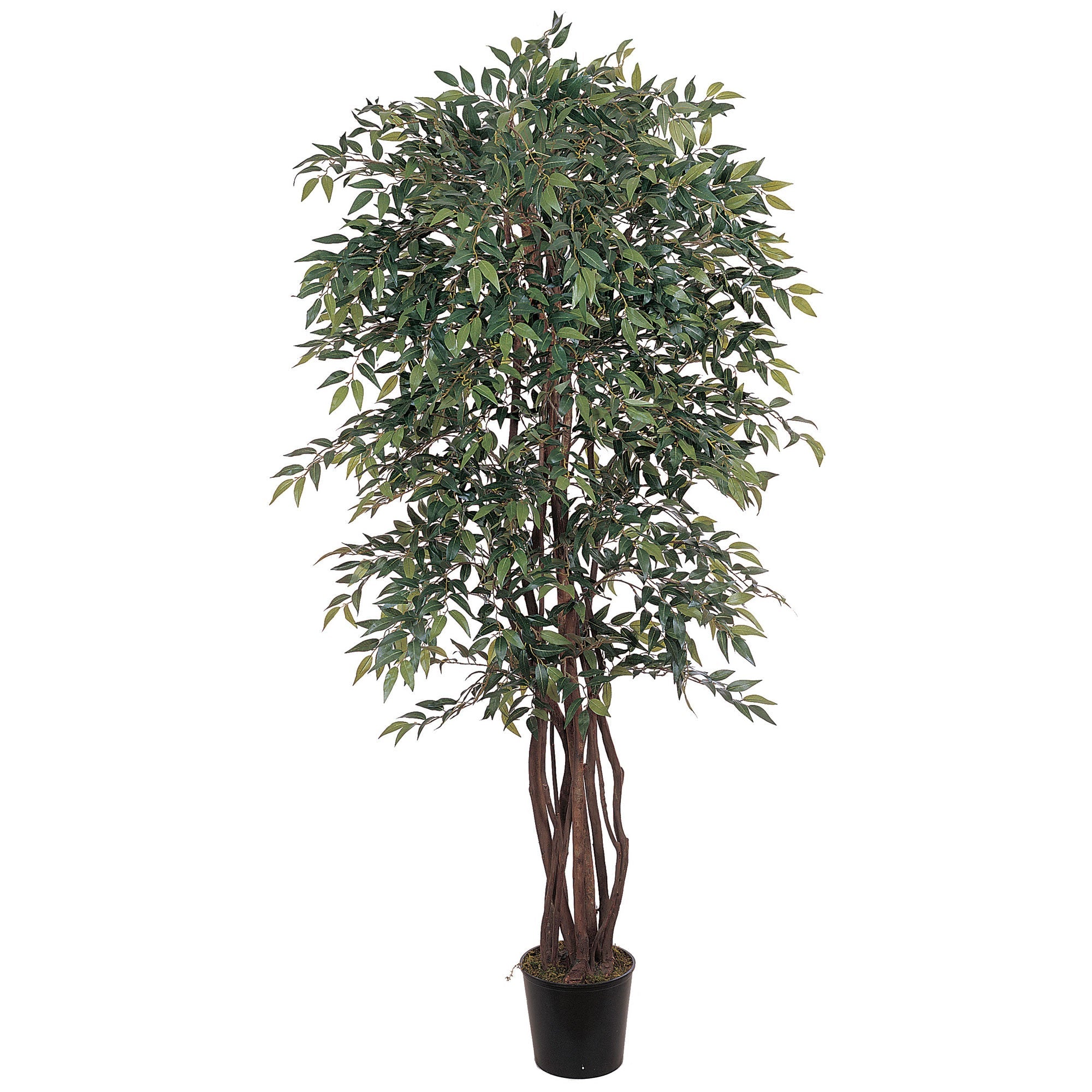 6' Smilax Silk Tree with Curvy Vine and Wooden Trunk | Zigeze