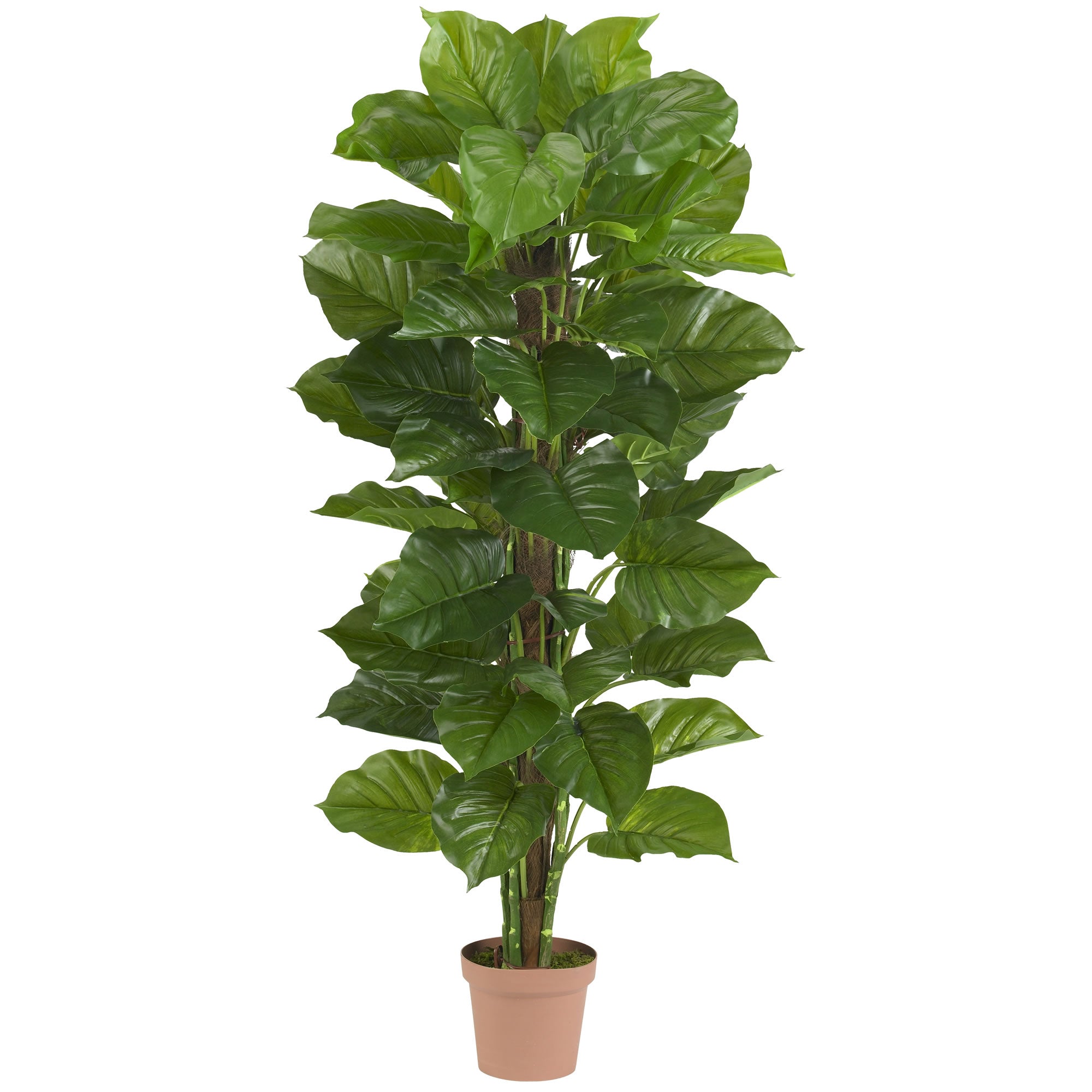 63" Large Leaf Philodendron Silk Plant (Real Touch) | Zigeze