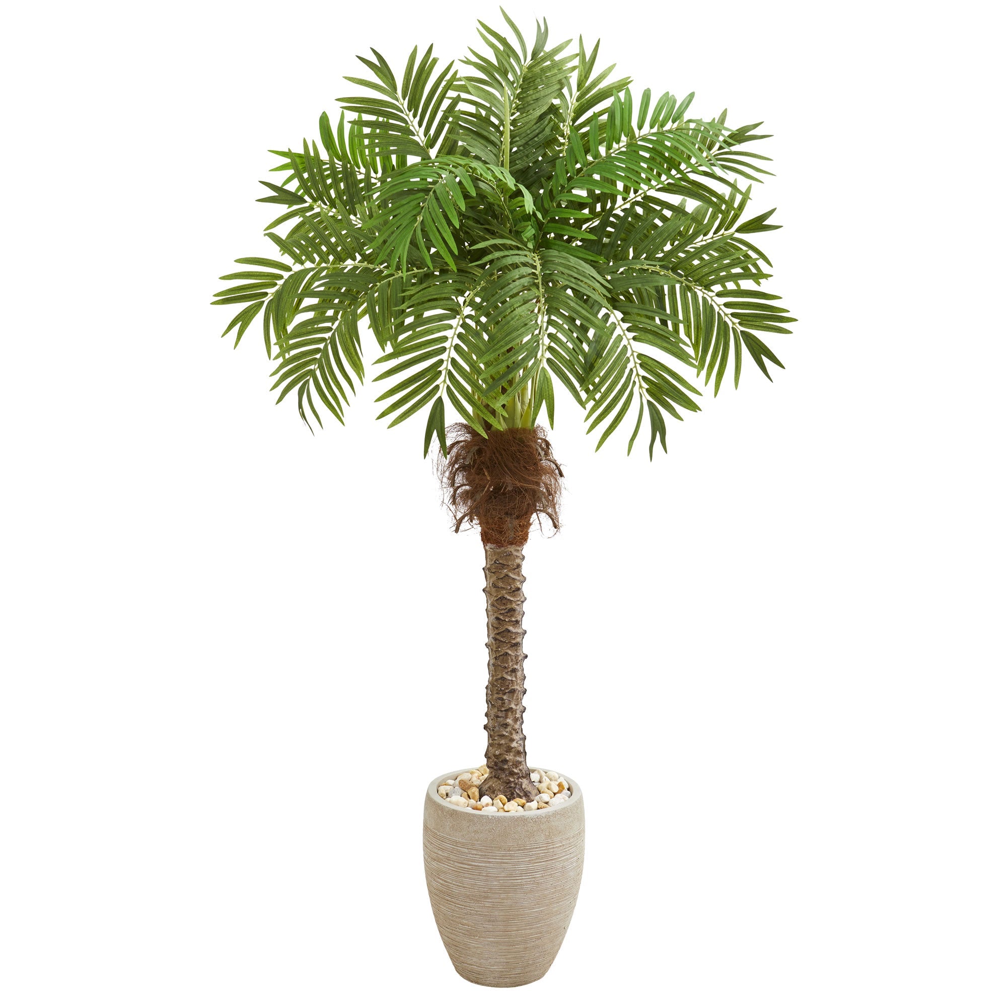 63" Robellini Palm Artificial Tree in Sandstone Planter | Zigeze