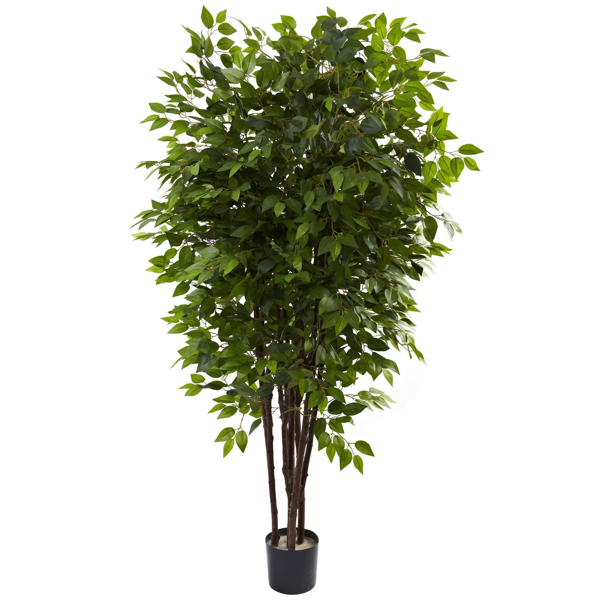 6.5 - Foot Artificial Deluxe Ficus Tree with 2,500 Leaves | Zigeze