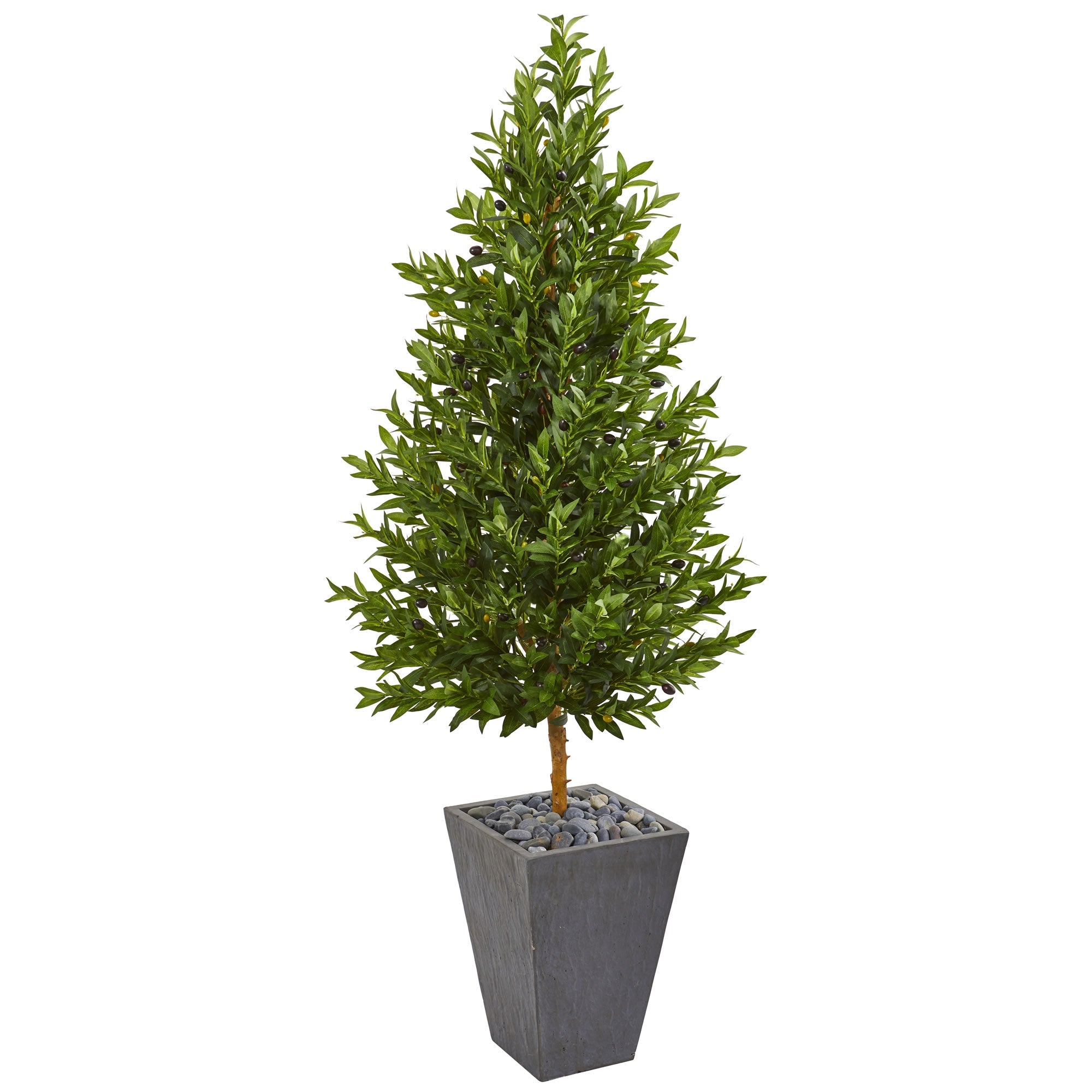 67 - inch Olive Cone Topiary in Slate Planter | Zigeze