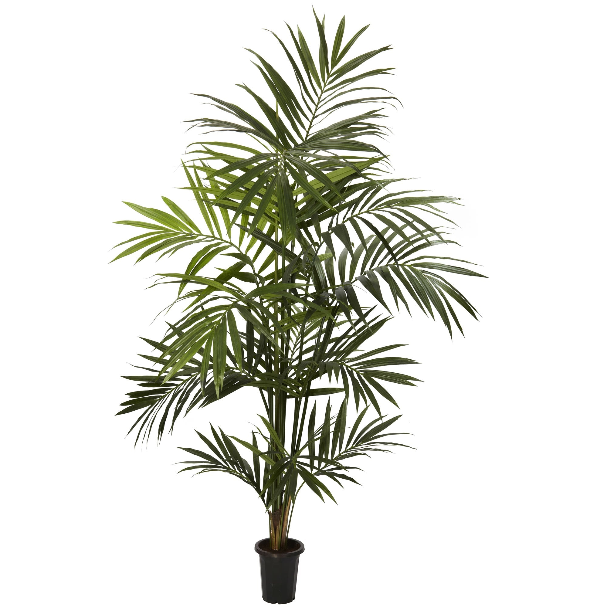 7 - Foot Artificial Full Foliage Kentia Palm Tree | Zigeze