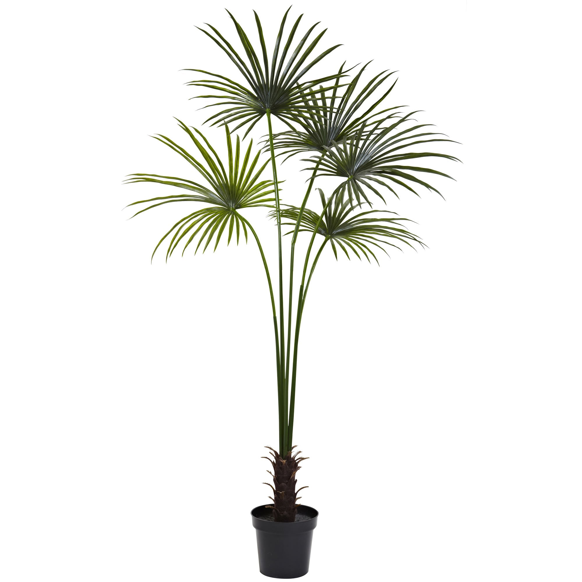 7 - Foot Striking Fan Palm Artificial Silk Tree | Zigeze