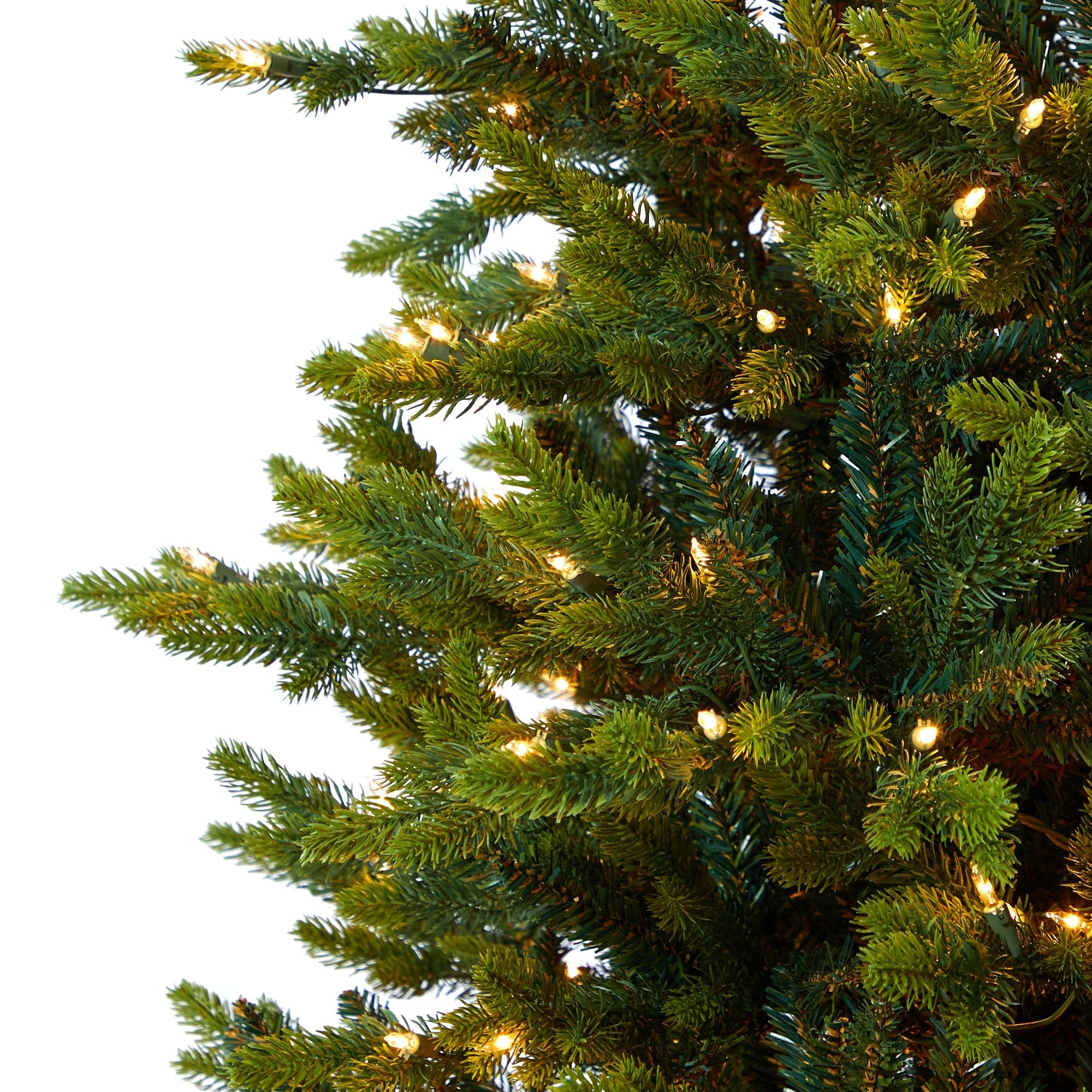 7' North Carolina Fir with 550 Clear Lights and 3703 Branches | Zigeze