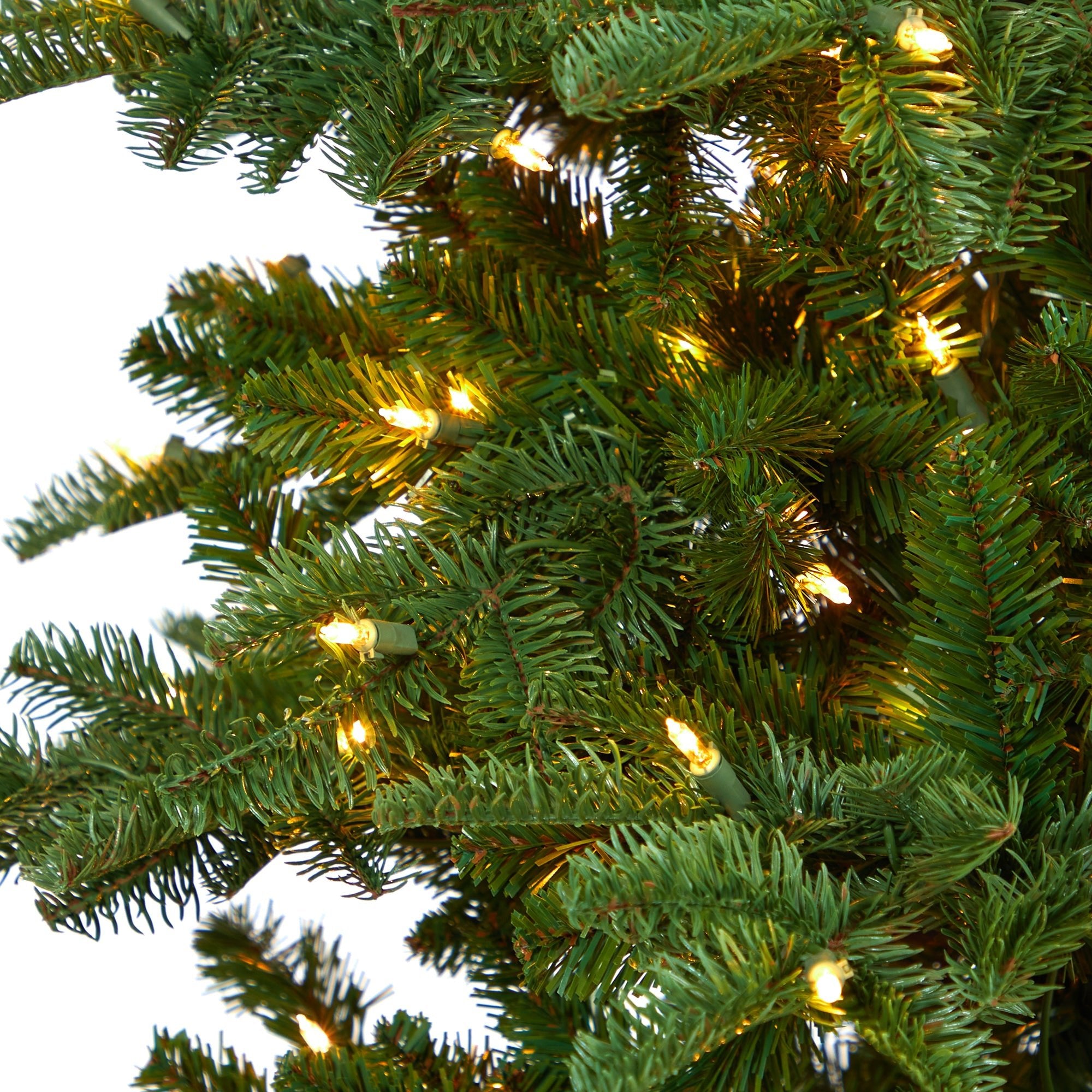 8' South Carolina Fir with 650 Clear Lights | Zigeze